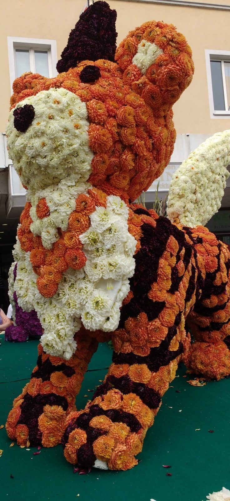 IMG_20170827_161640181 (2)