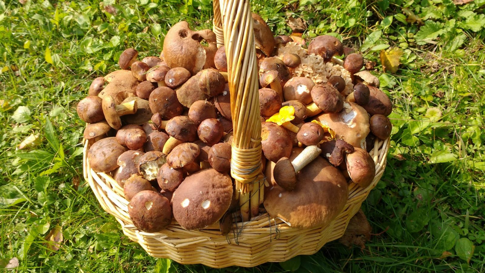 IMG_20170926_140255667