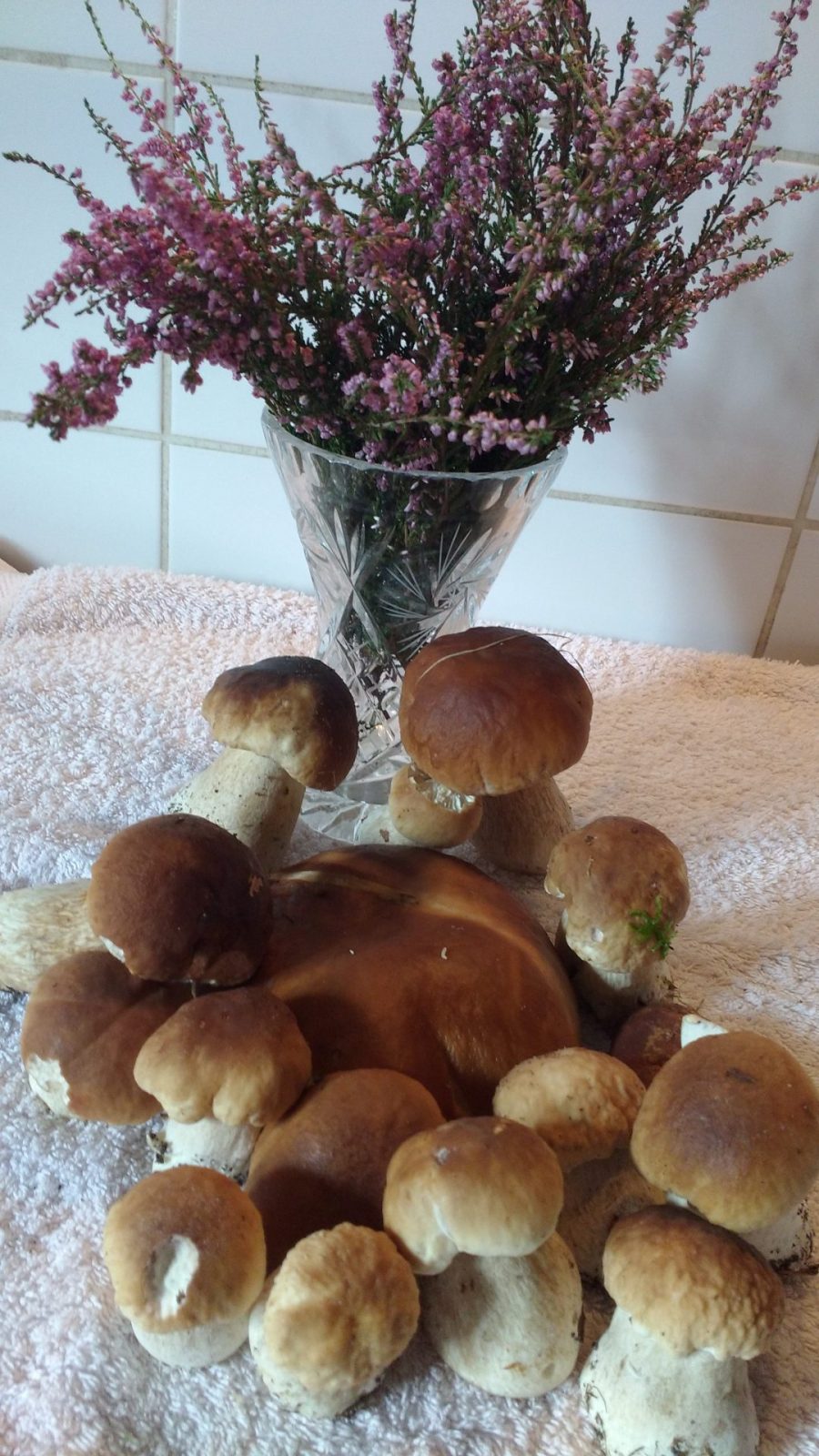 IMG_20170929_171802014