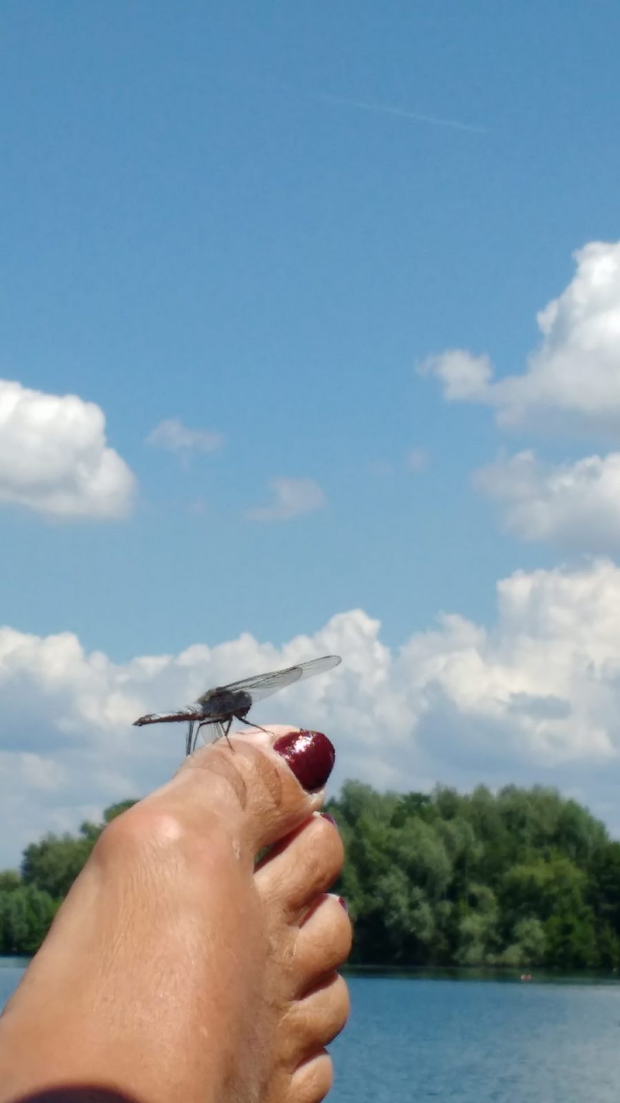 IMG_20180603_133123852