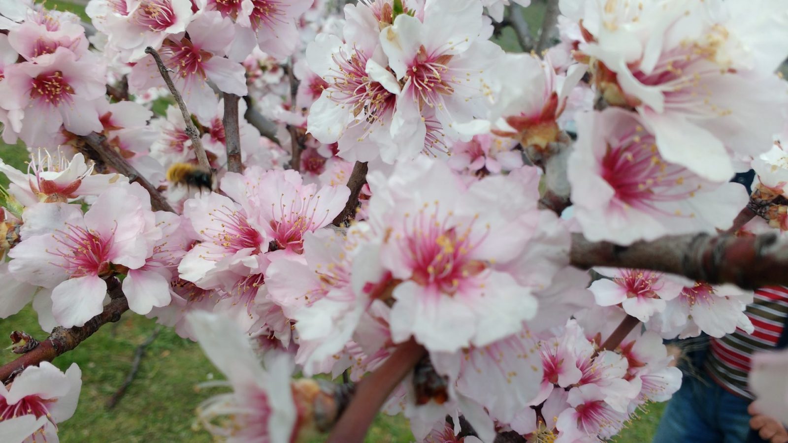 IMG_20190327_114720812