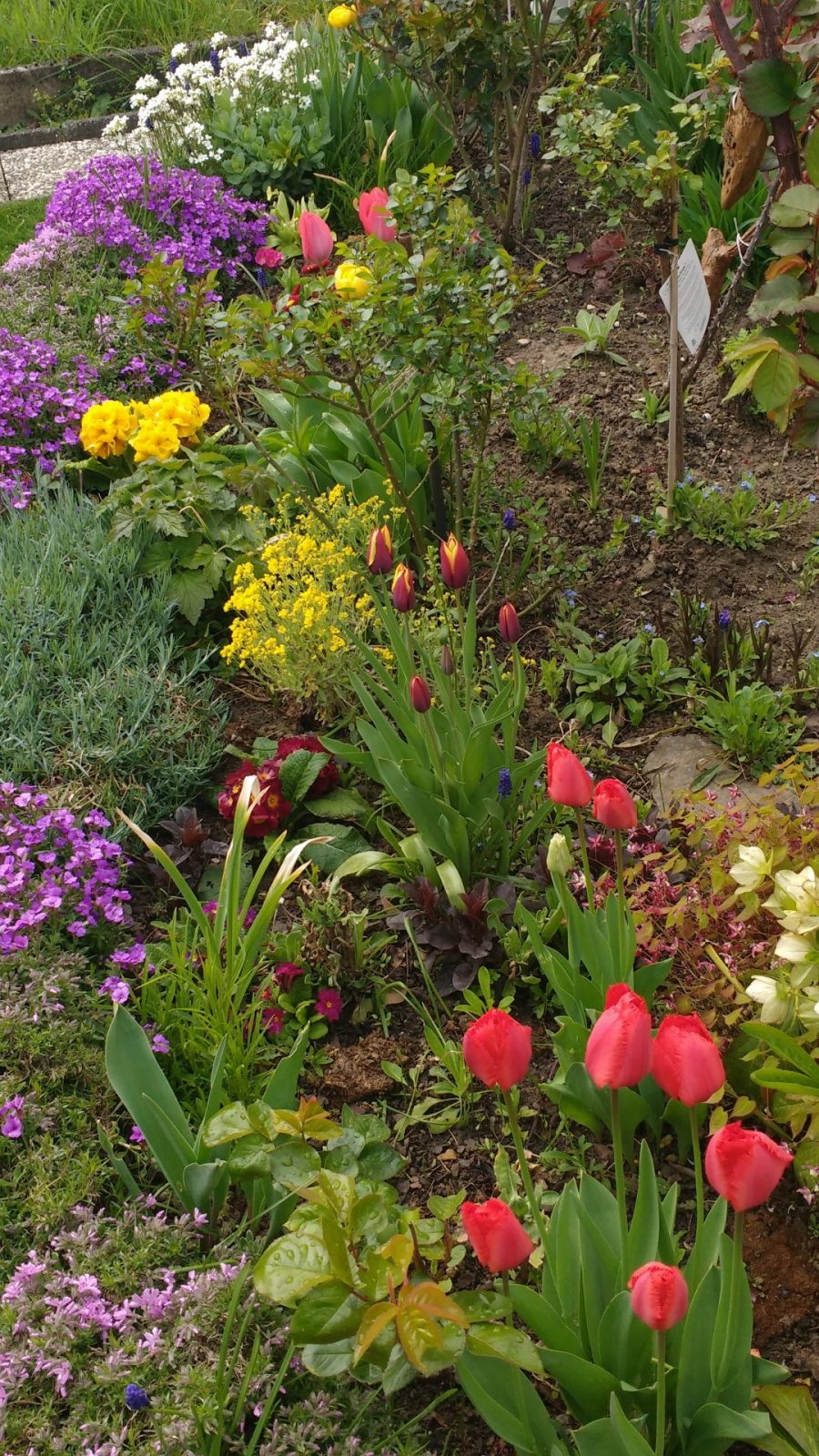 IMG_20190414_112220444