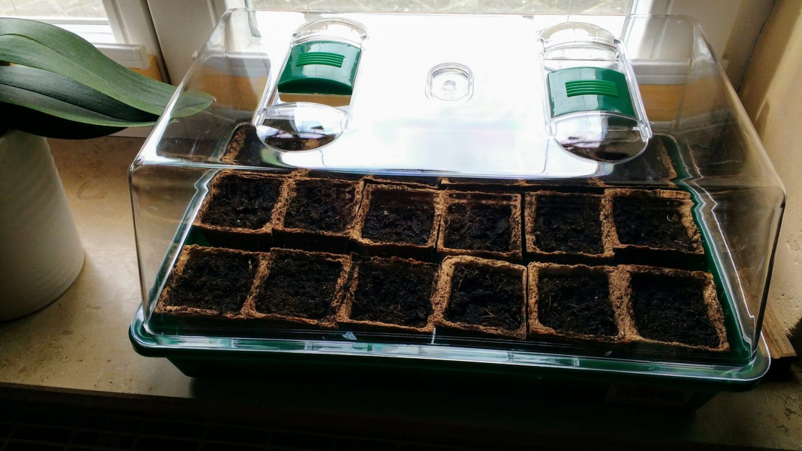 IMG_20200204_132148036 (1)