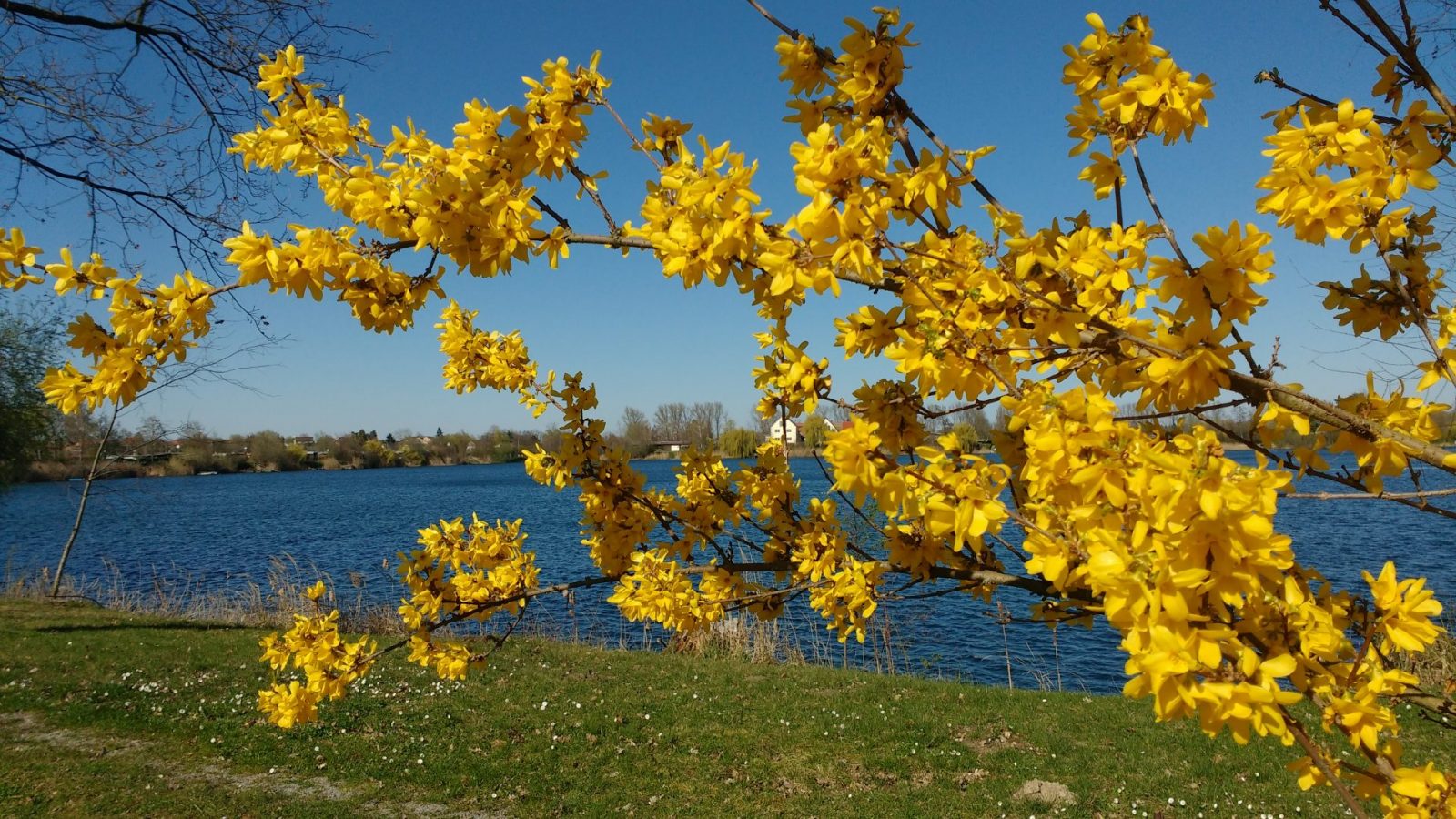 IMG_20200322_142001521