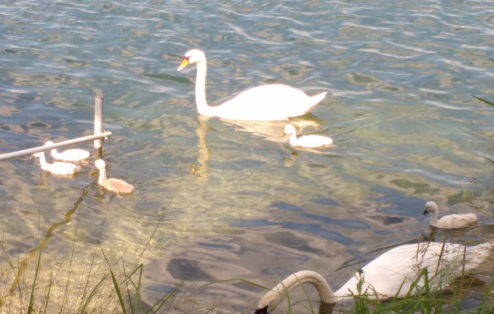 IMG_20200612_154826583