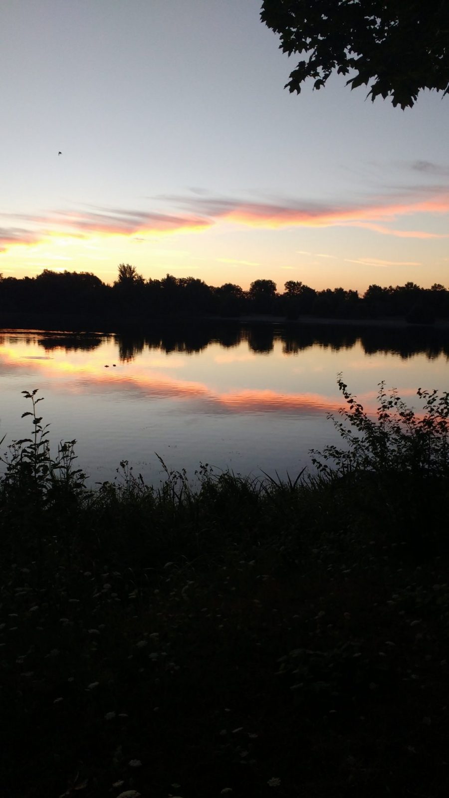 IMG_20200806_055258262