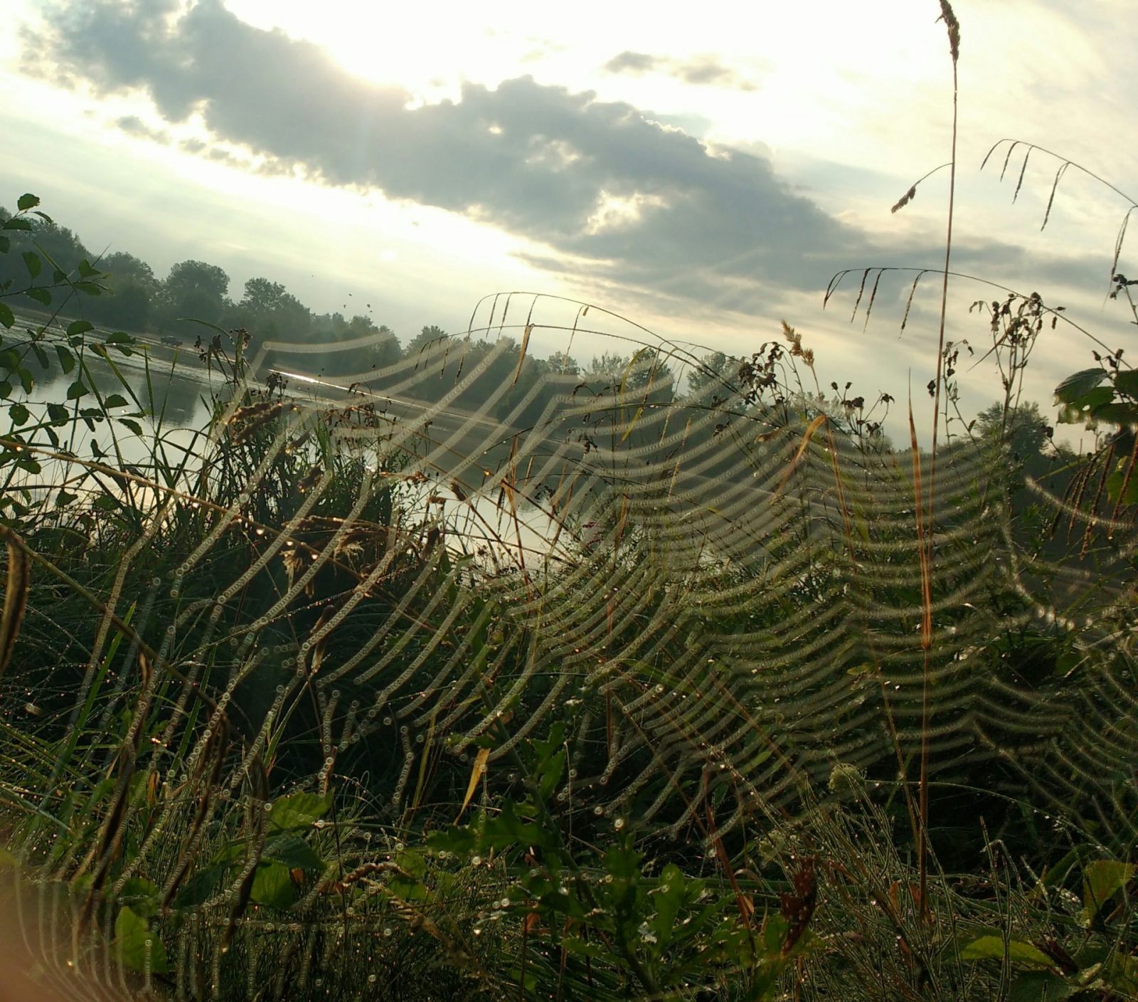 IMG_20200815_074658415