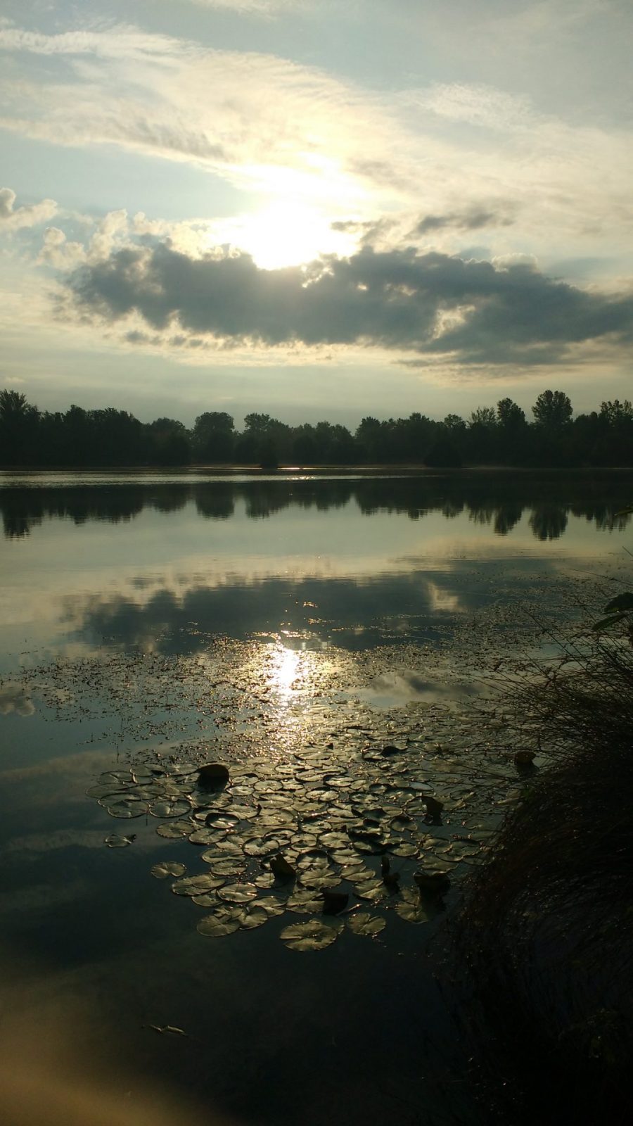 IMG_20200815_074736269