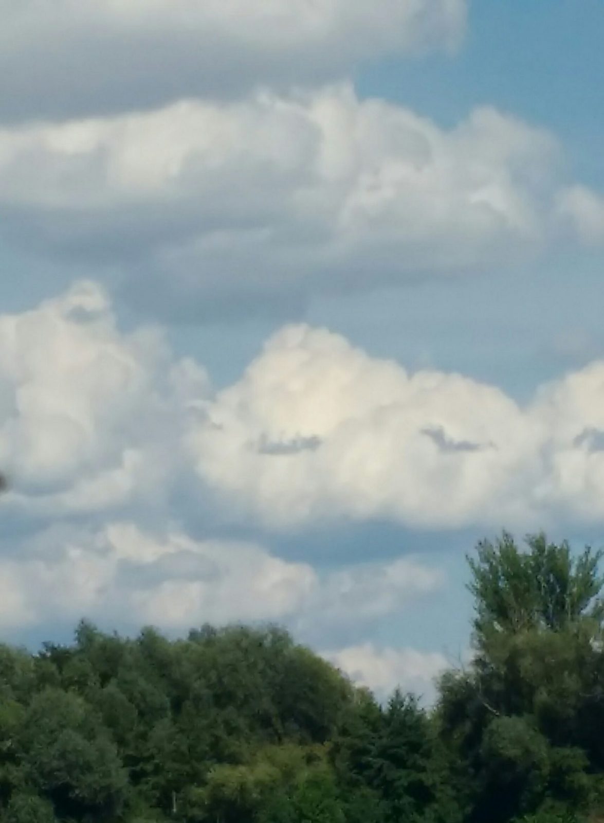 IMG_20200816_152607736