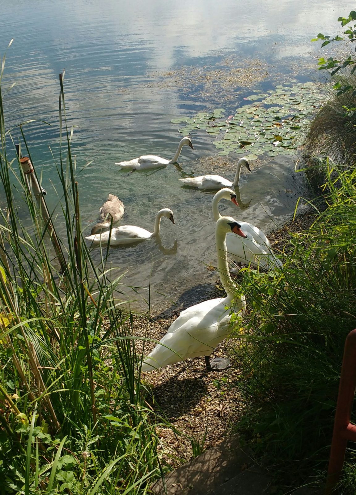 IMG_20200823_100103088