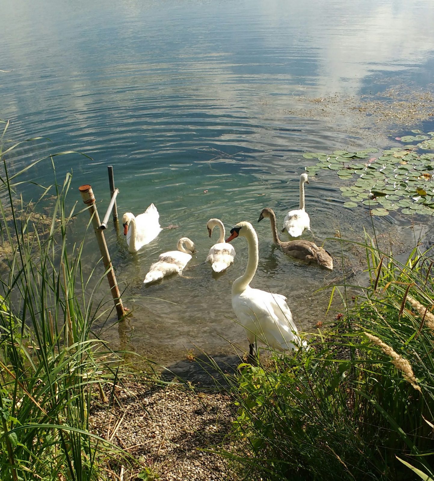 IMG_20200823_100213206