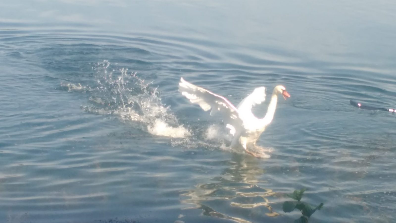 IMG_20200913_134013244