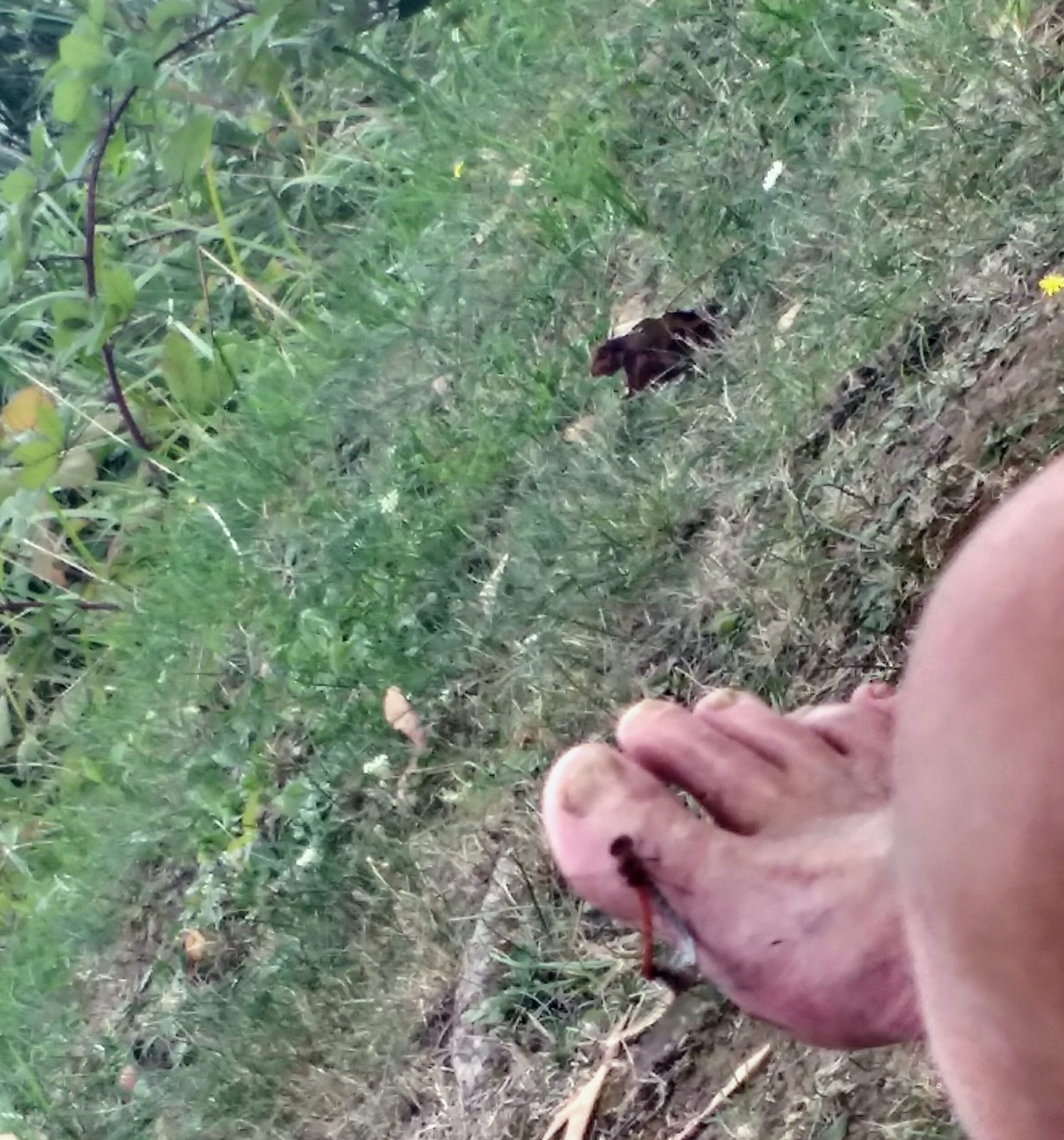 IMG_20200916_125225284_HDR~2