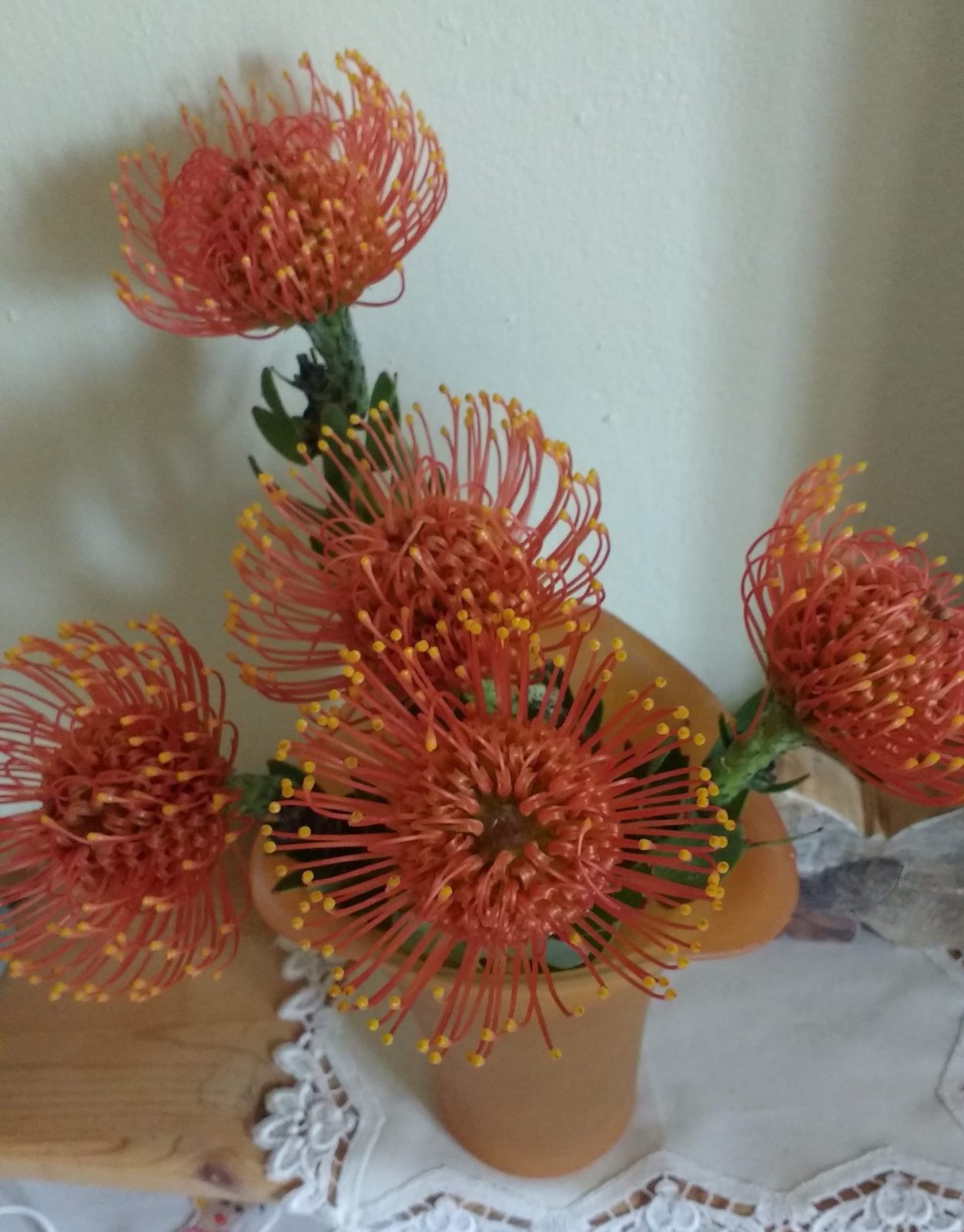 IMG_20201119_105147648