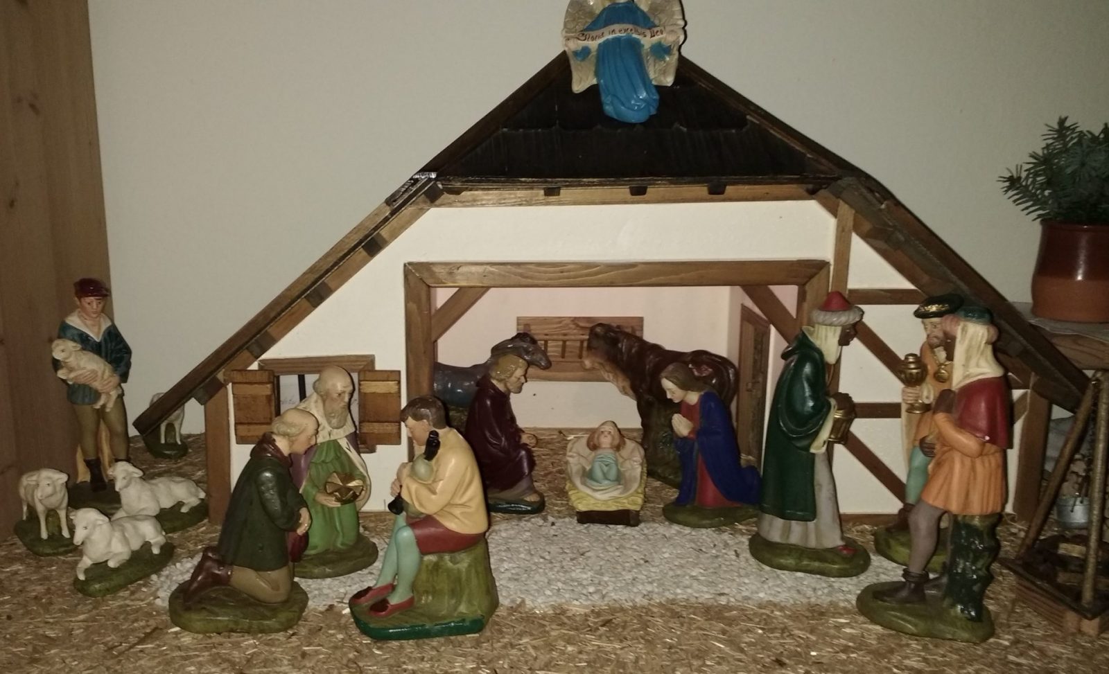 IMG_20201128_164846171