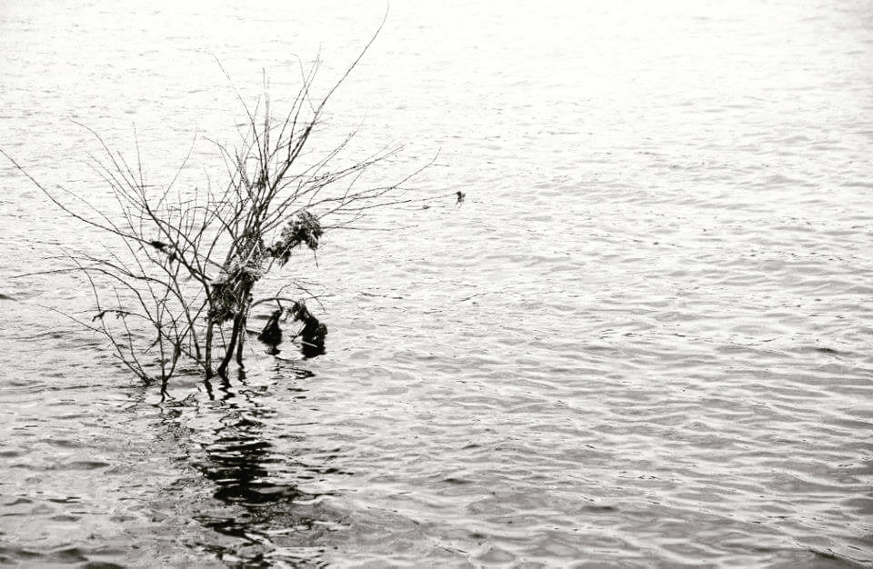 IMG_20210129_160526_191