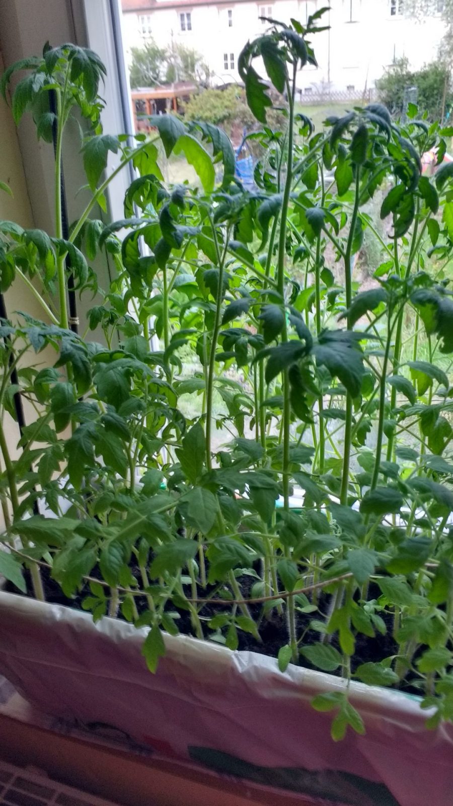 IMG_20210418_192629579_HDR