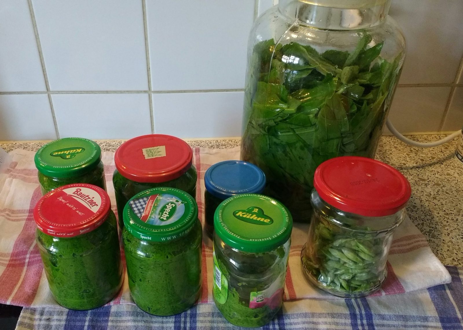 IMG_20210422_112621365~2