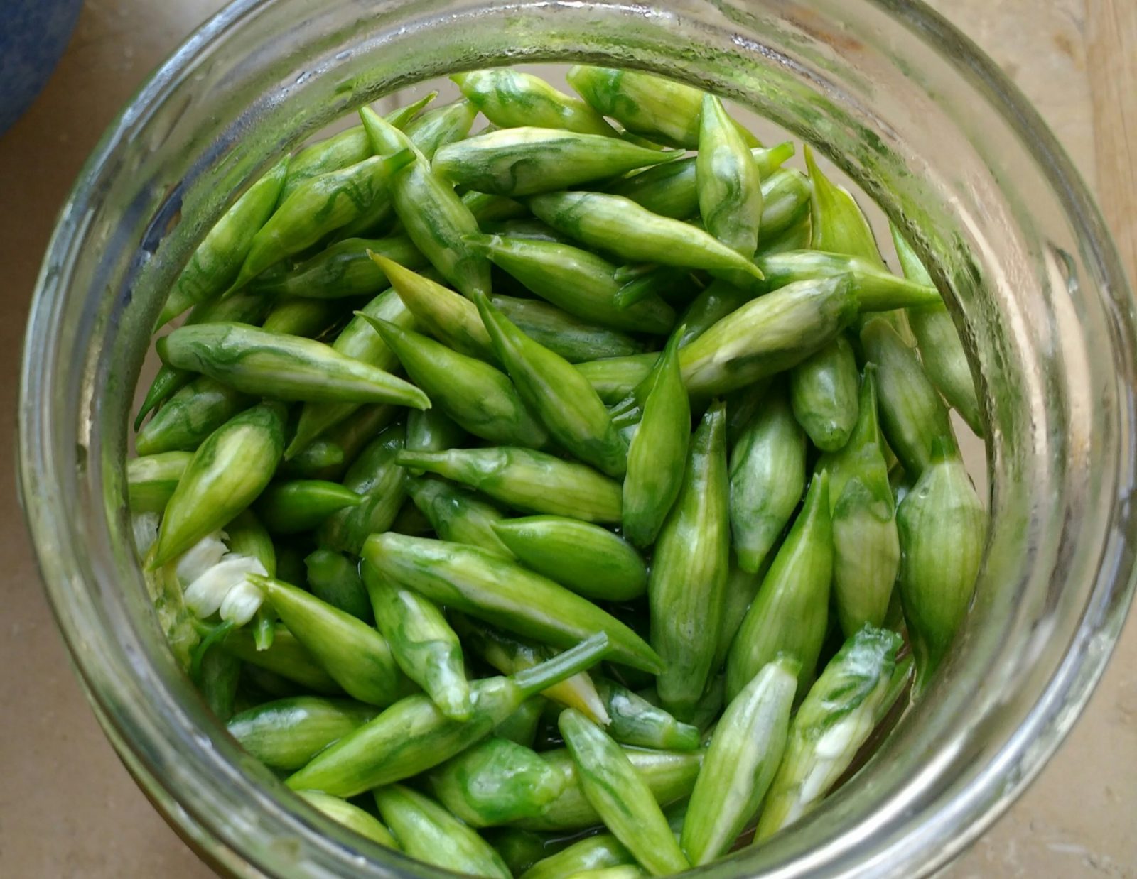 IMG_20210422_115127978~2