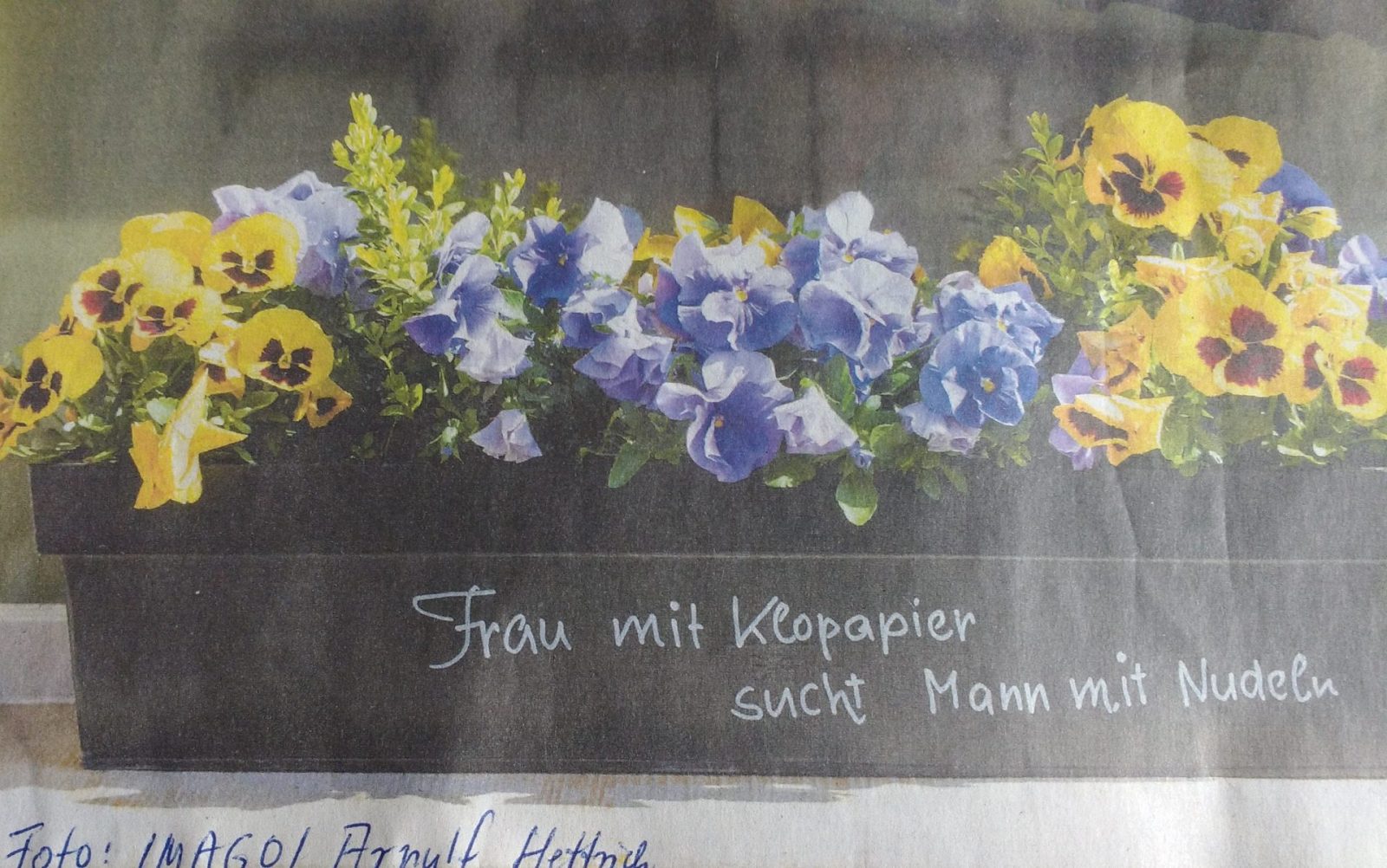 IMG_20210502_135125334