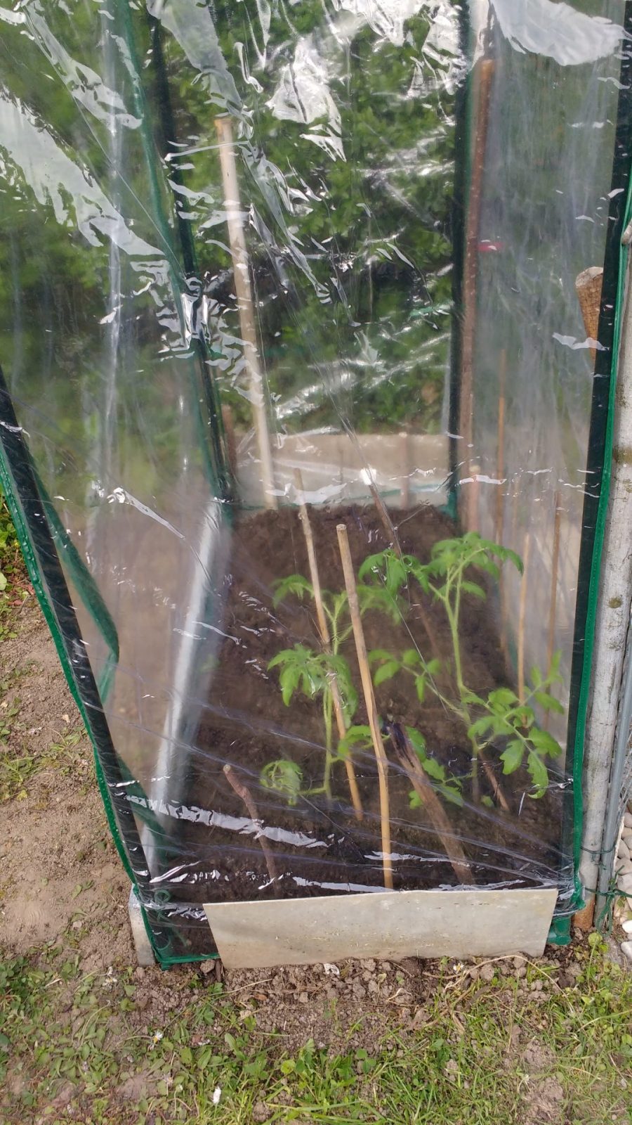 IMG_20210503_171847864