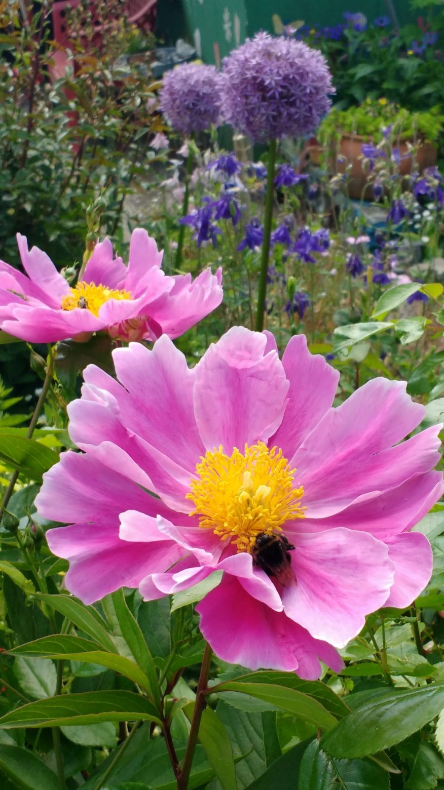 IMG_20210603_111746890