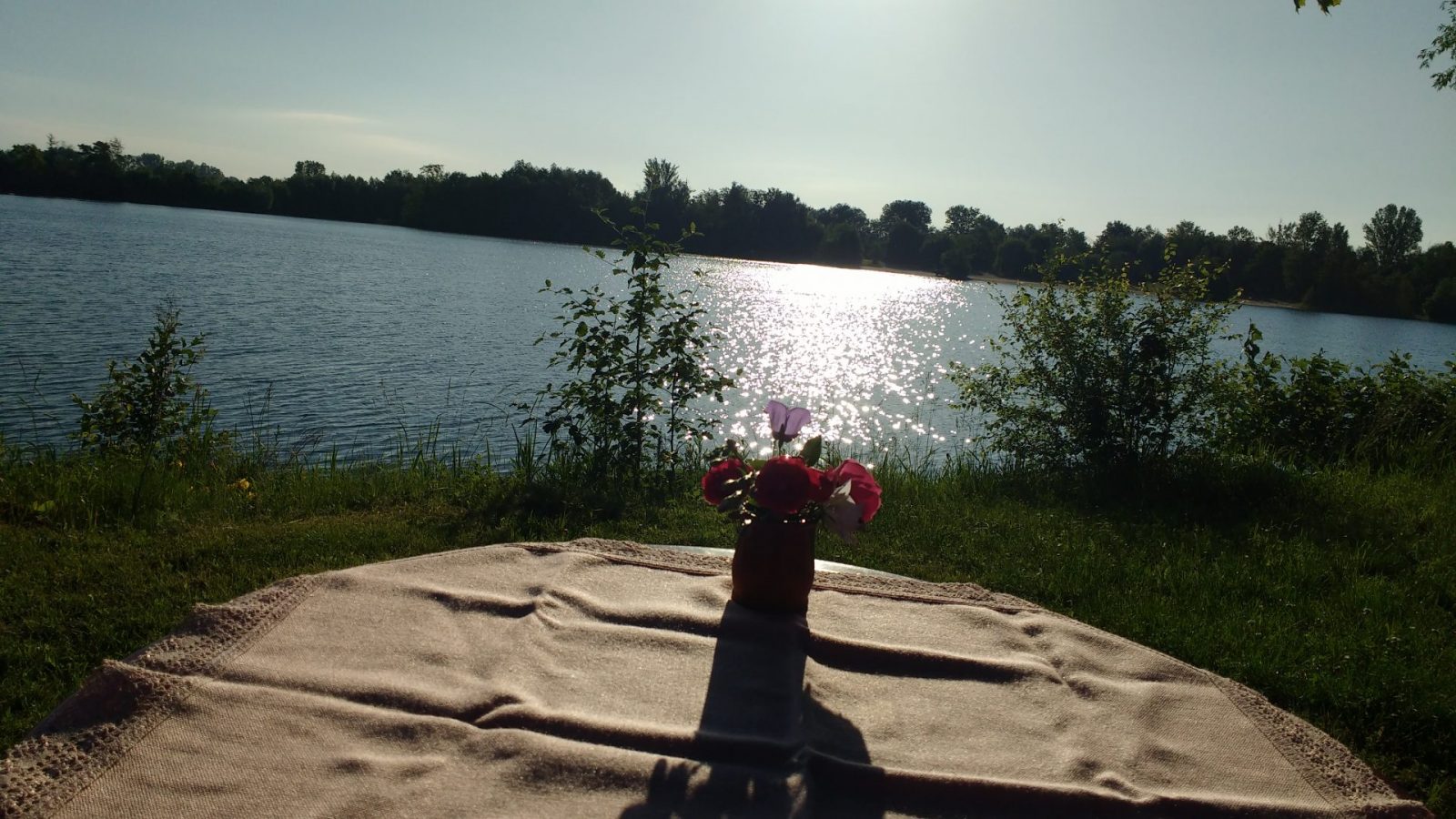 IMG_20210613_072858887