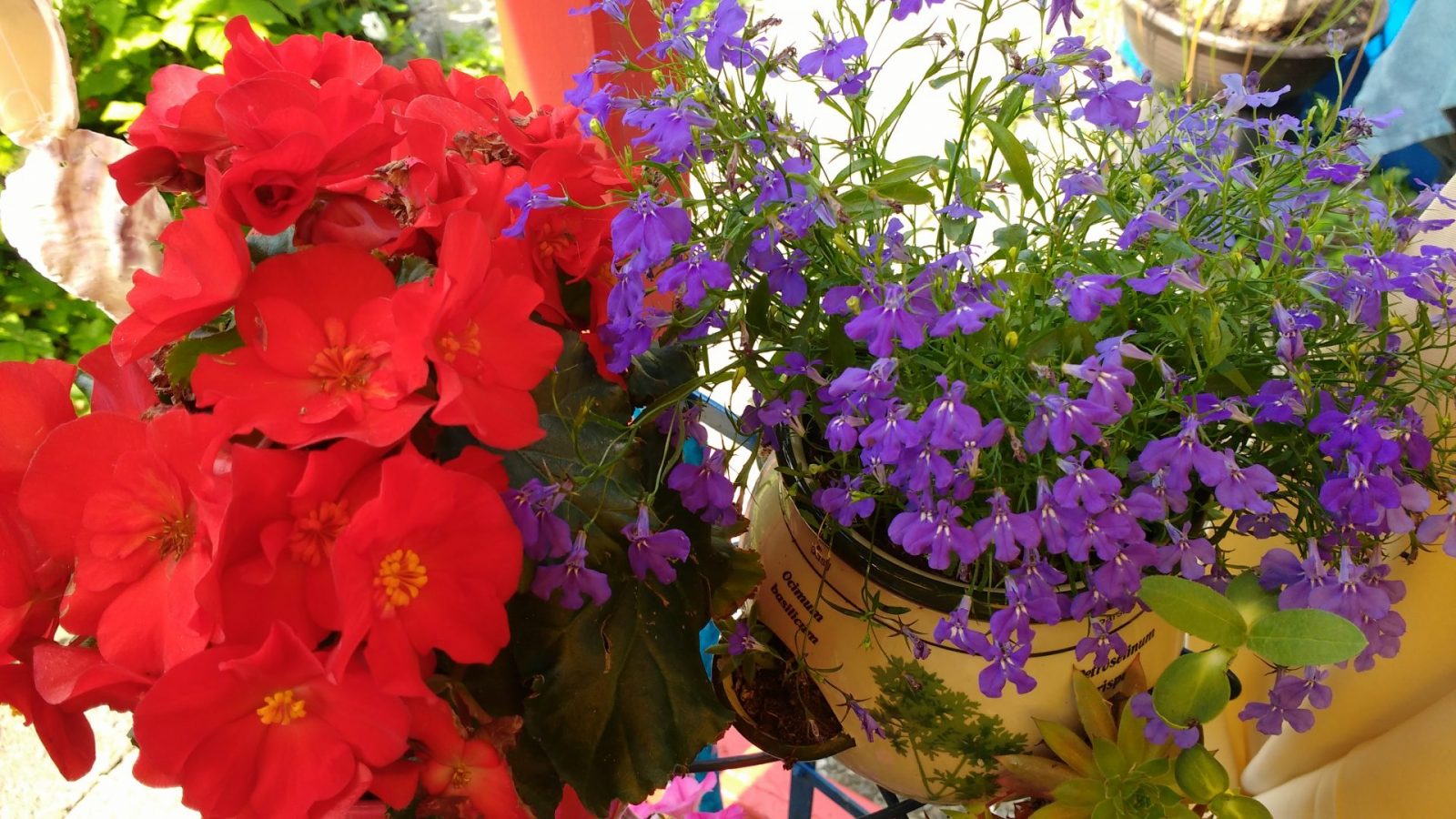 IMG_20210623_154220318