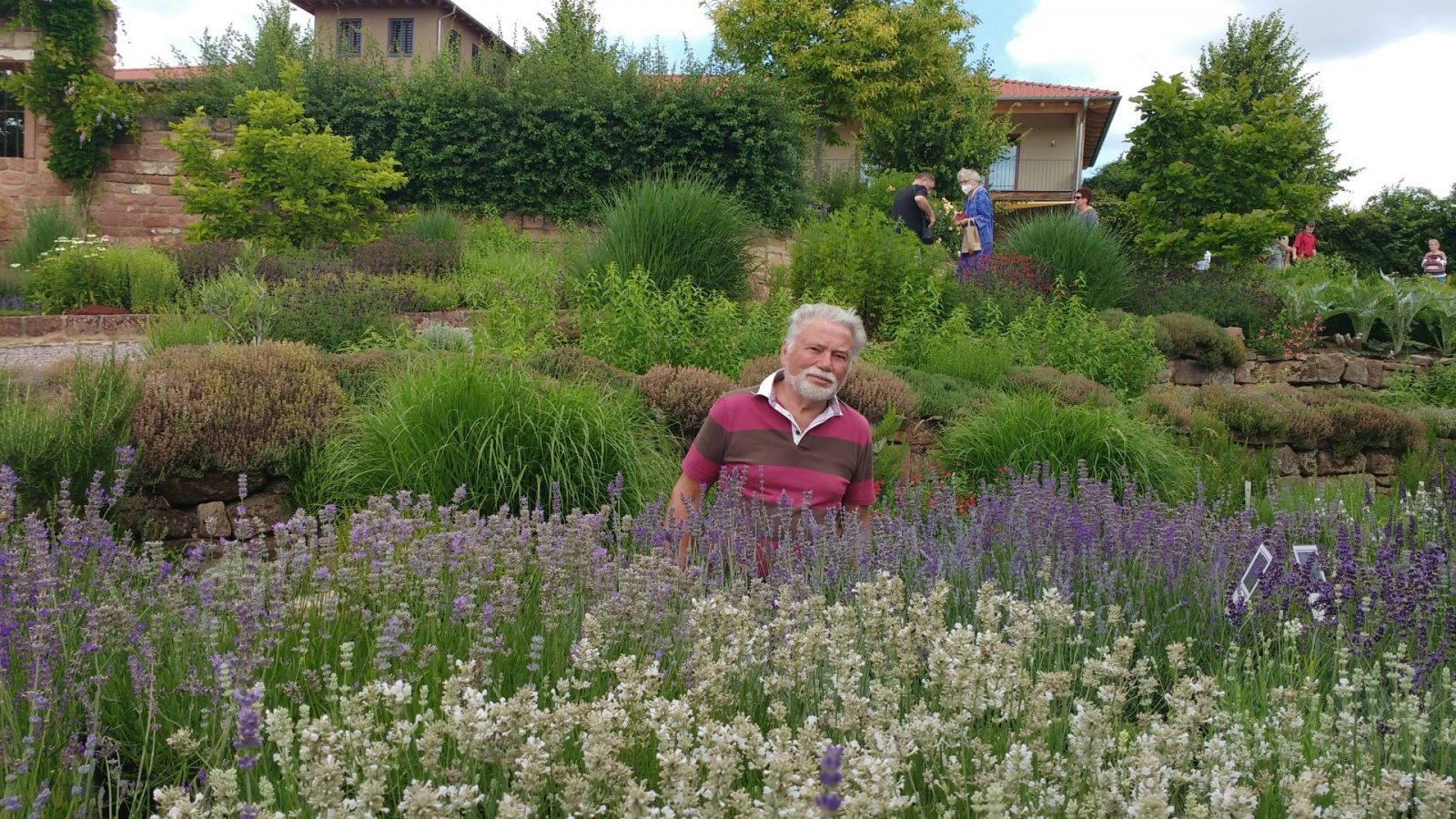 IMG_20210702_113223727