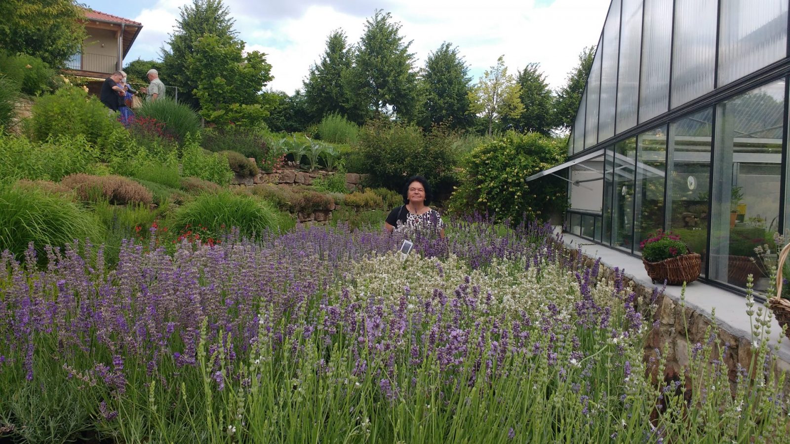 IMG_20210702_113351957