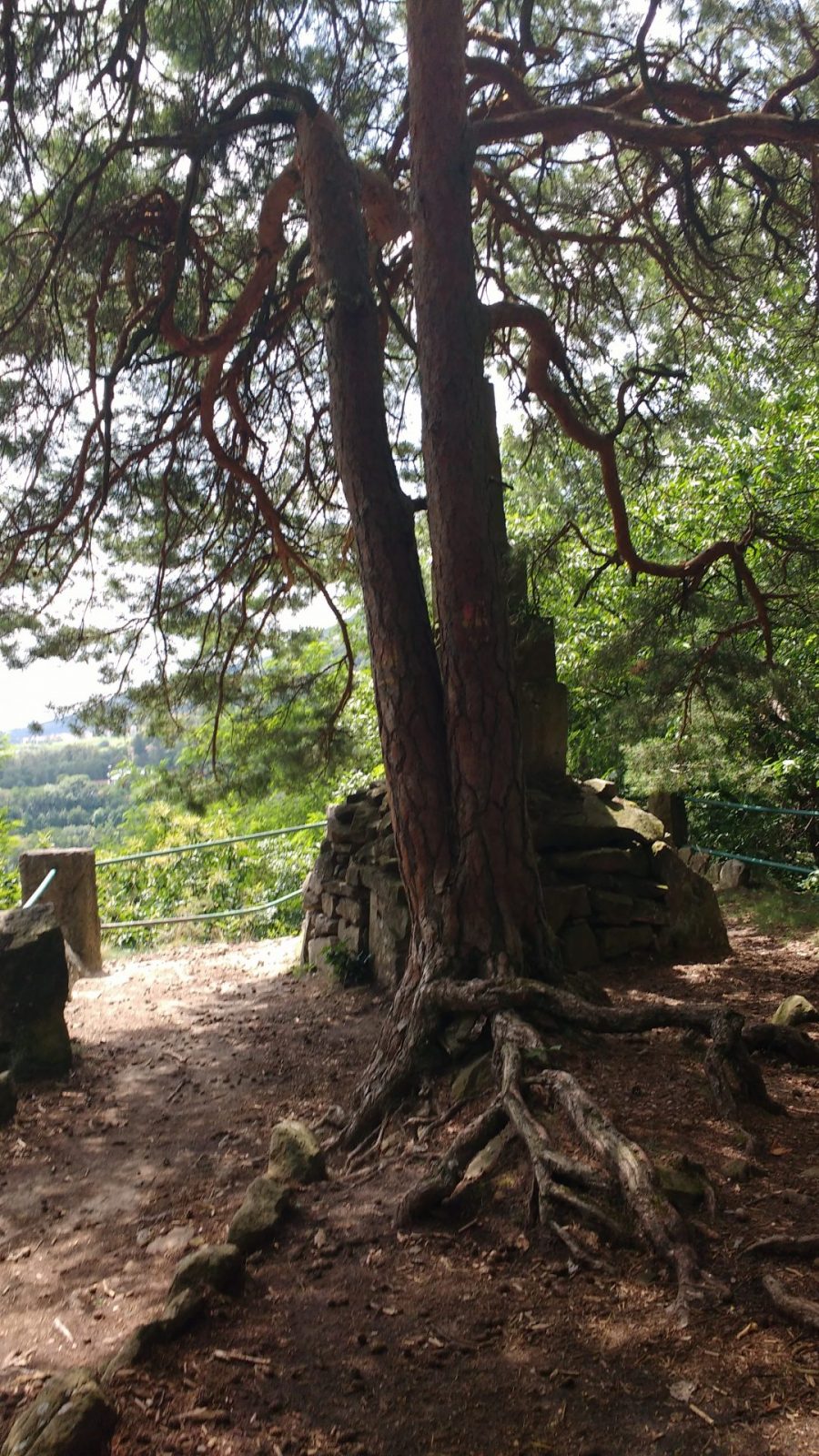 IMG_20210702_135156622