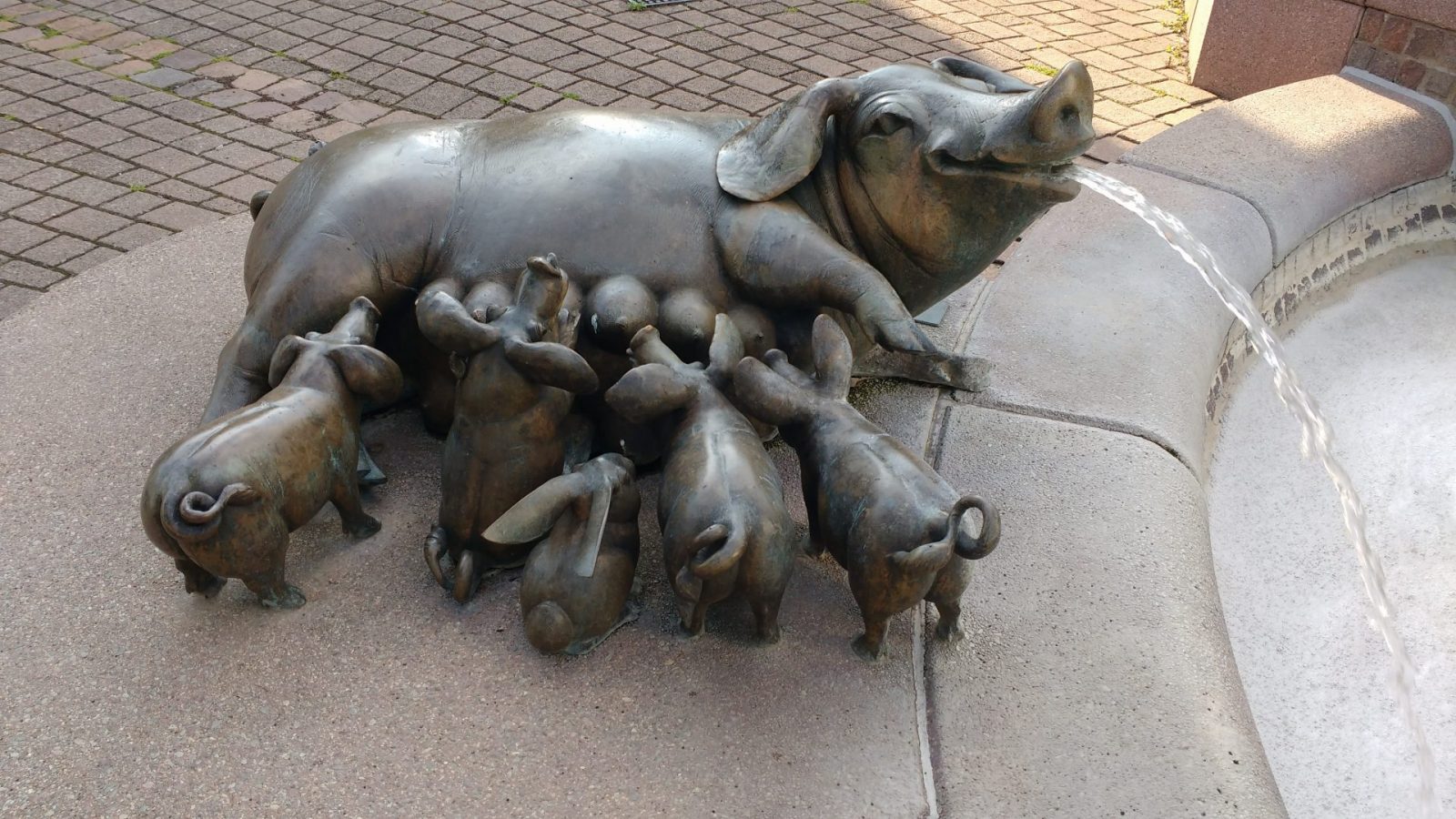 IMG_20210702_184429060