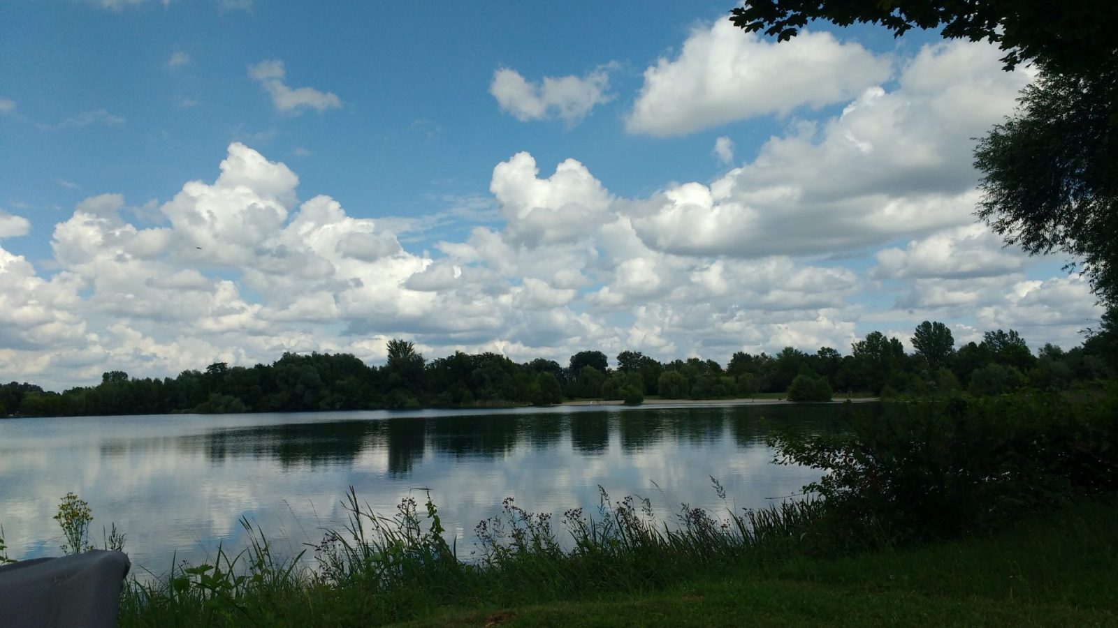 IMG_20210711_155552815