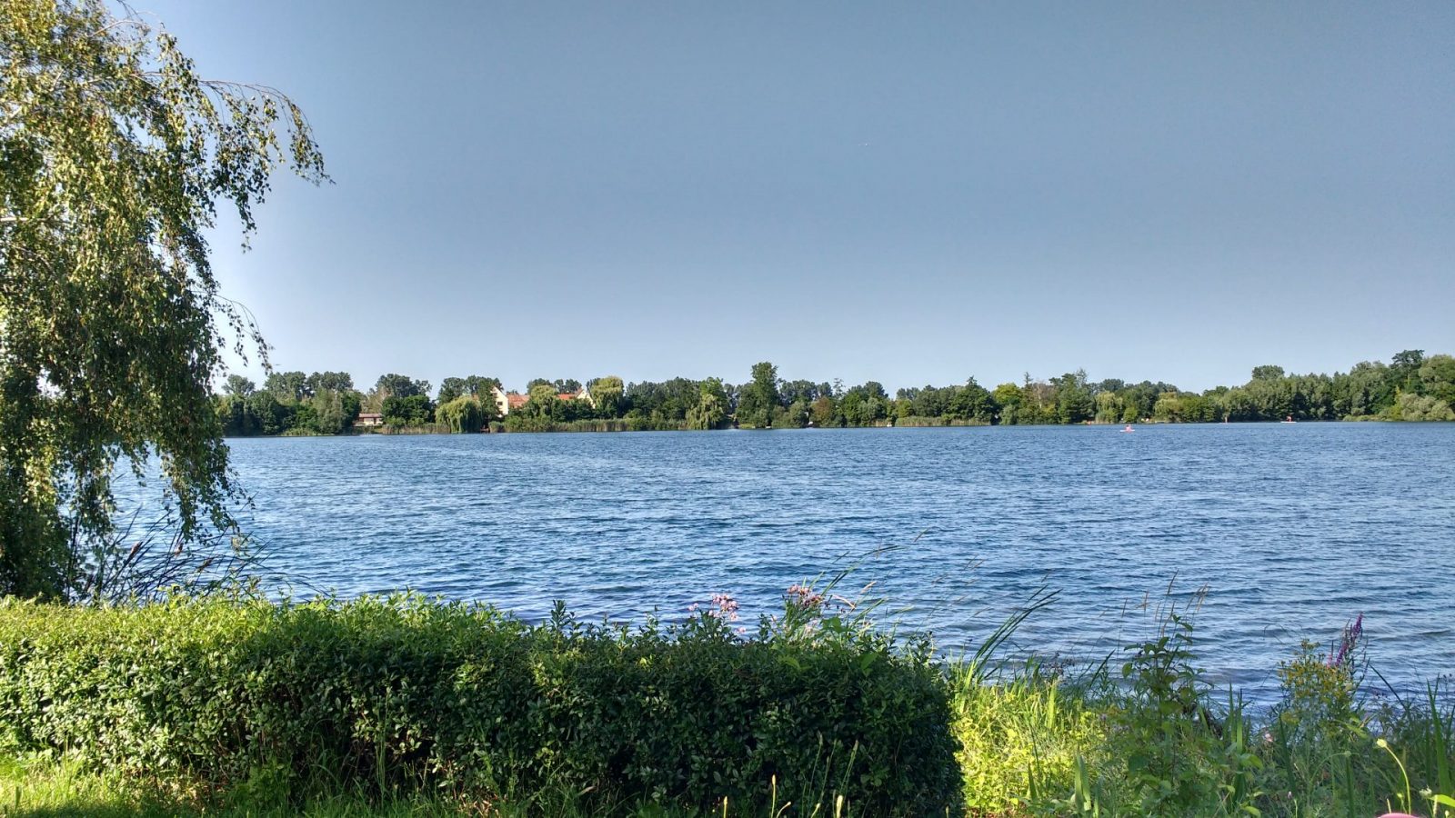 IMG_20210718_171213244_HDR