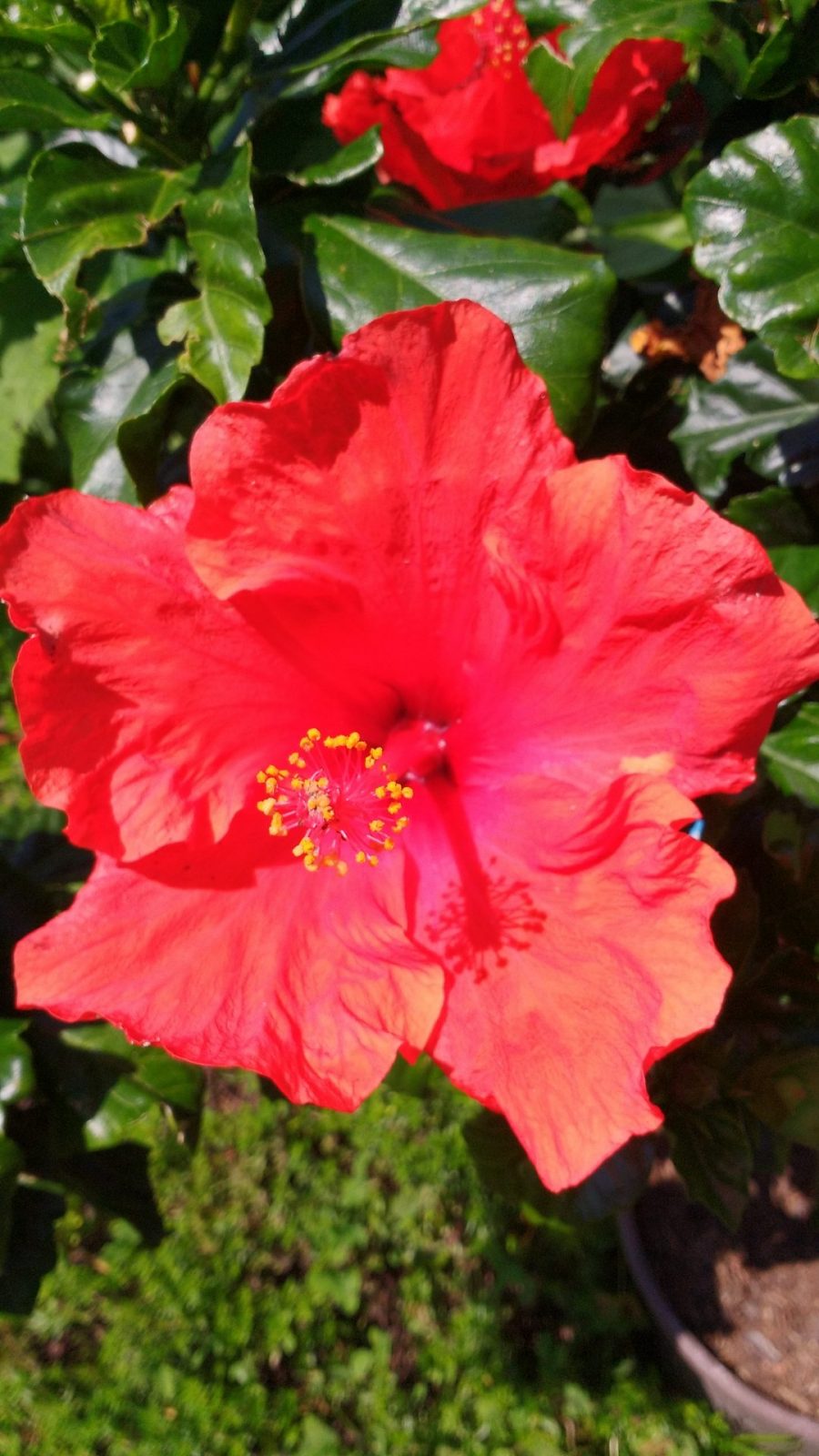 IMG_20210719_144833567