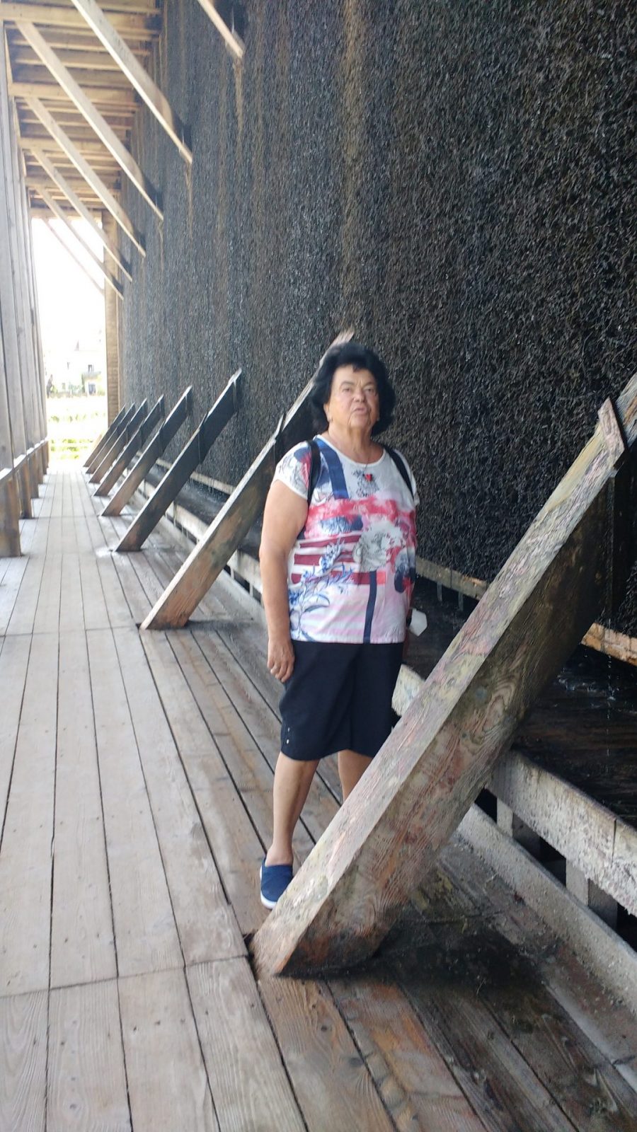 IMG_20210721_141104202