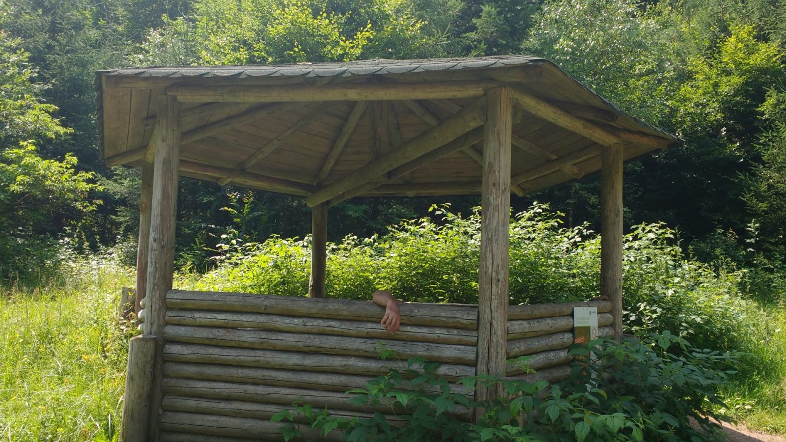 IMG_20210722_132843847