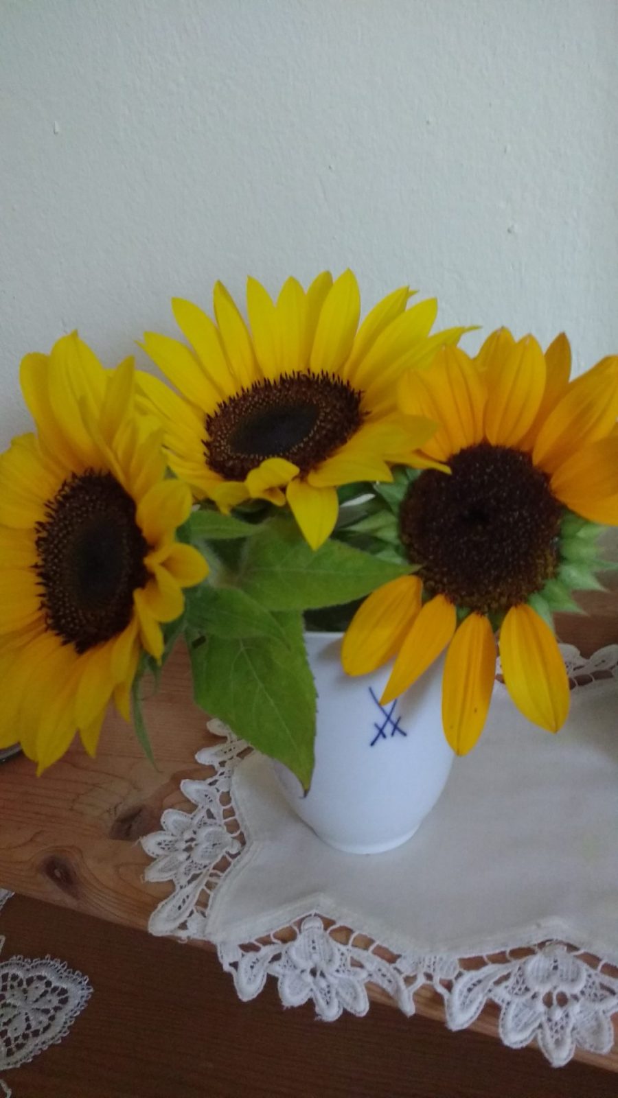 IMG_20210724_083335909 - Kopiert