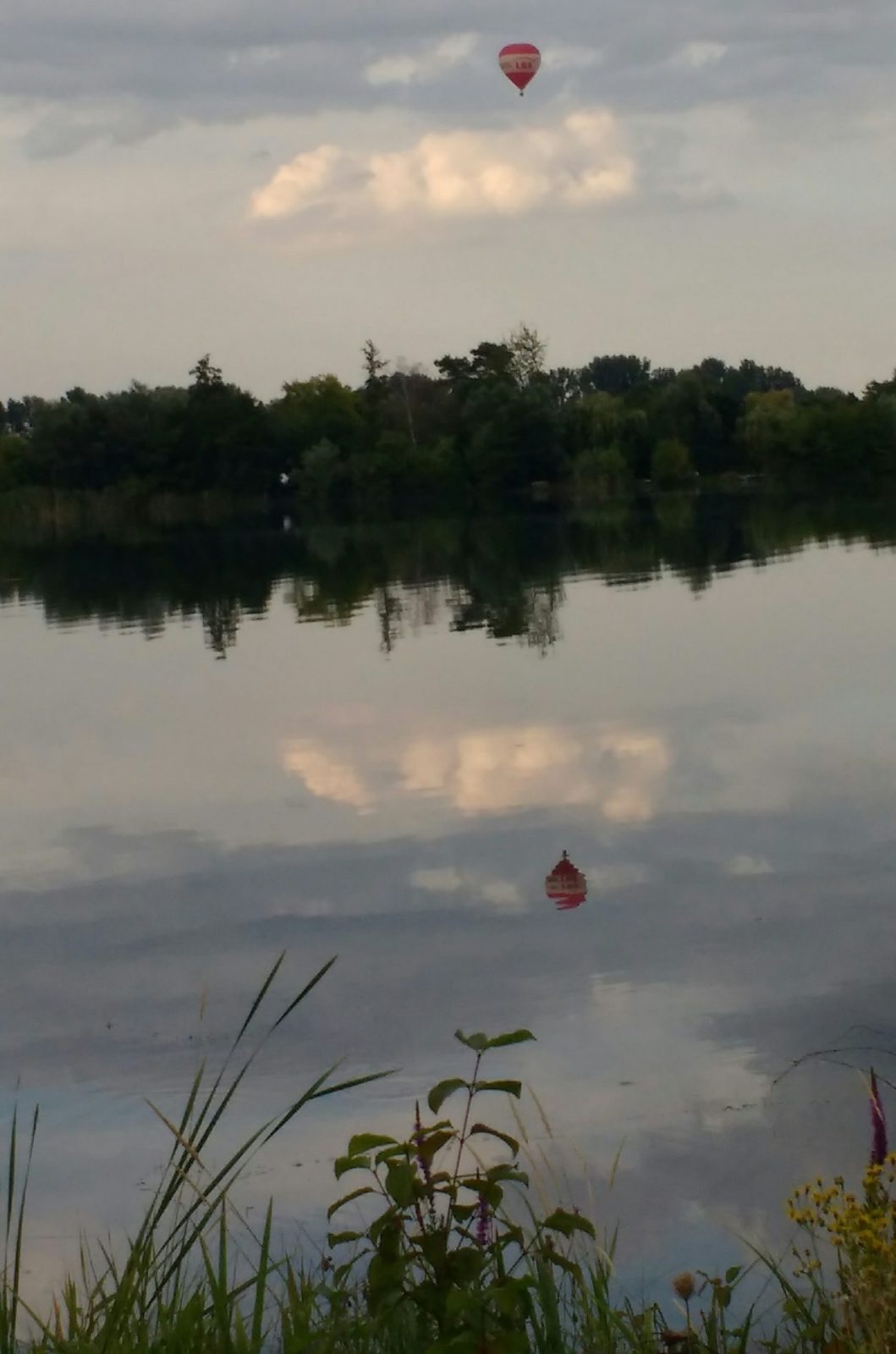 IMG_20210811_192143045~2