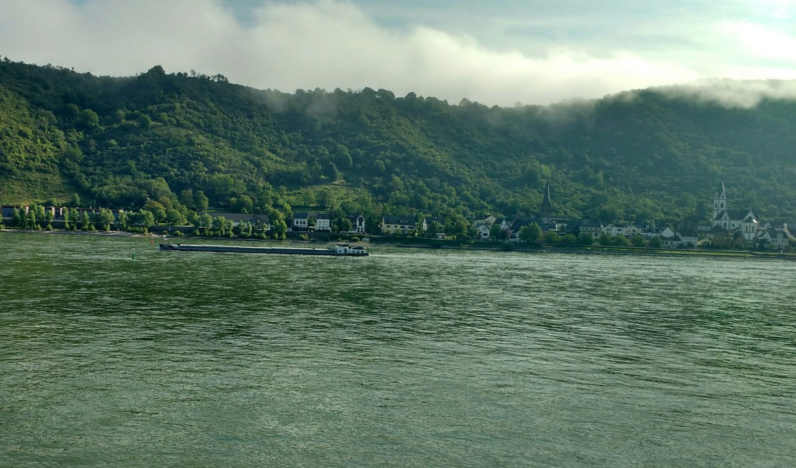 IMG_20210821_092451766_HDR~2