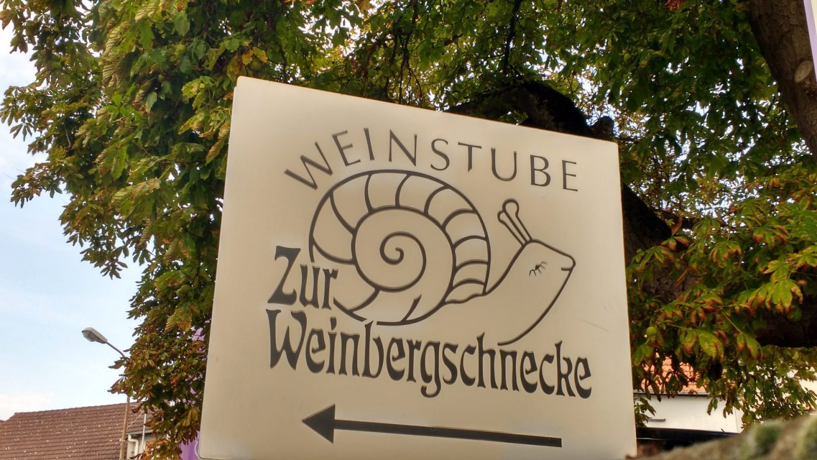 IMG_20210831_181257582_HDR