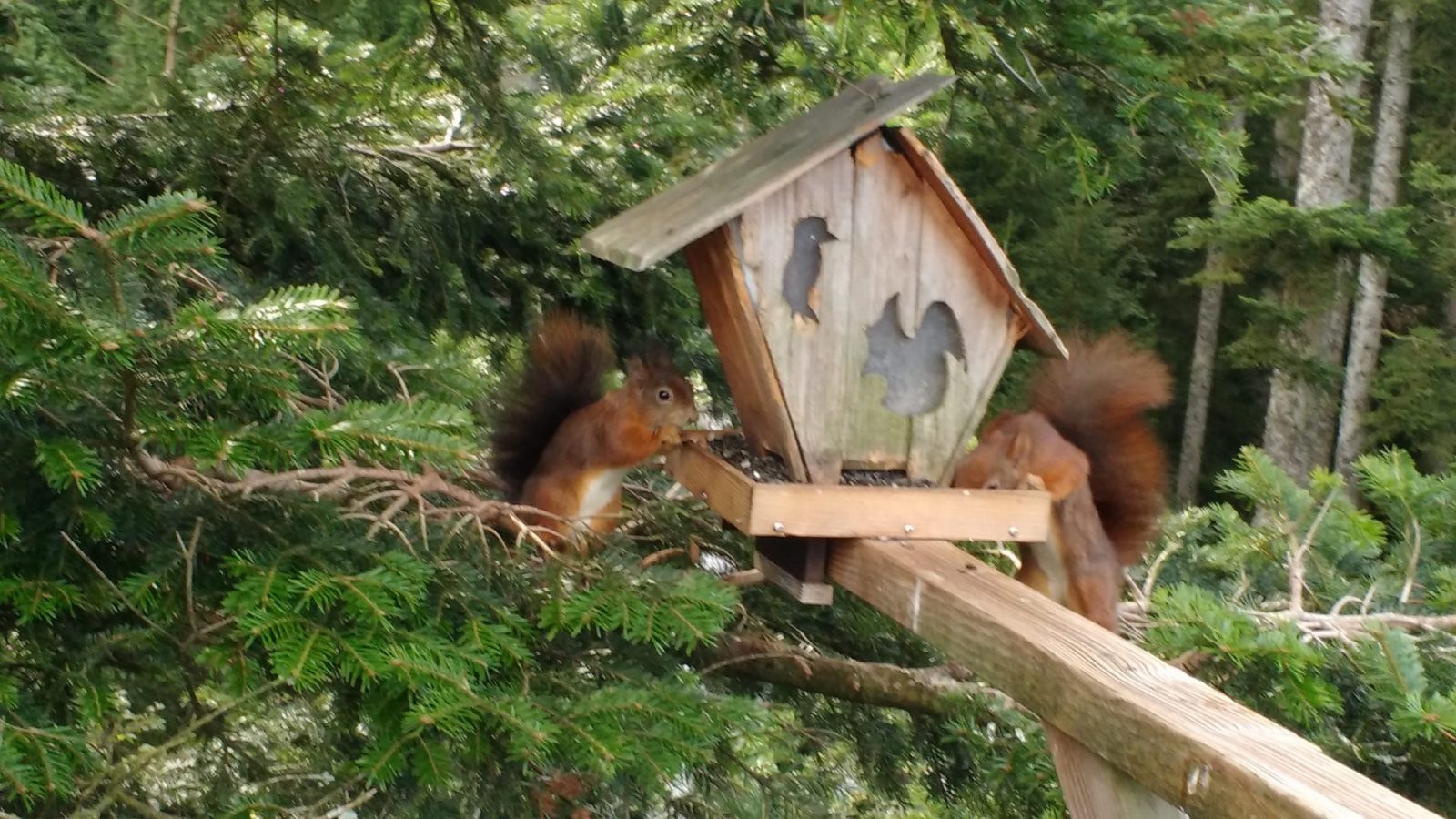 IMG_20210930_111250094