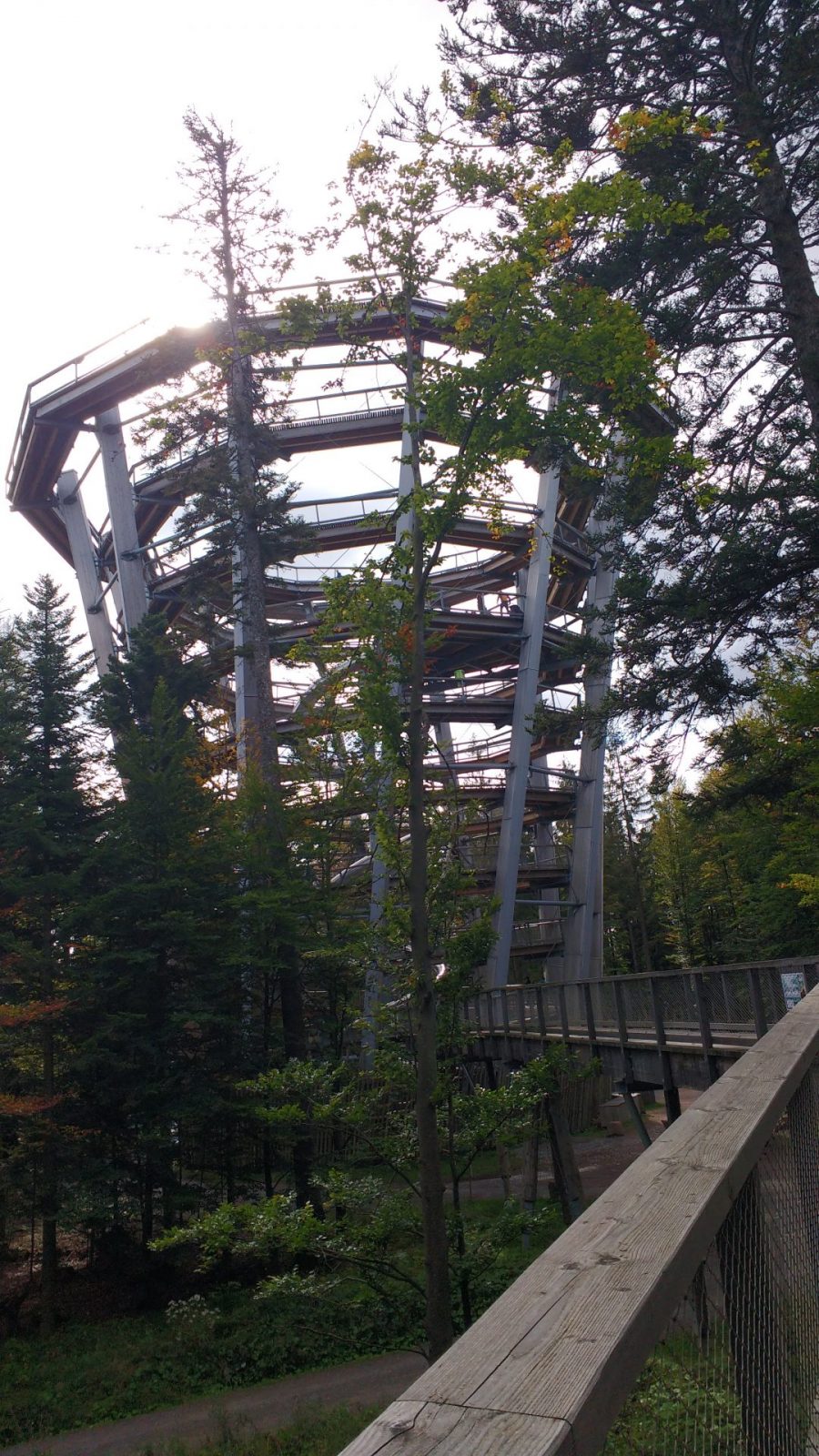 IMG_20210930_113901169