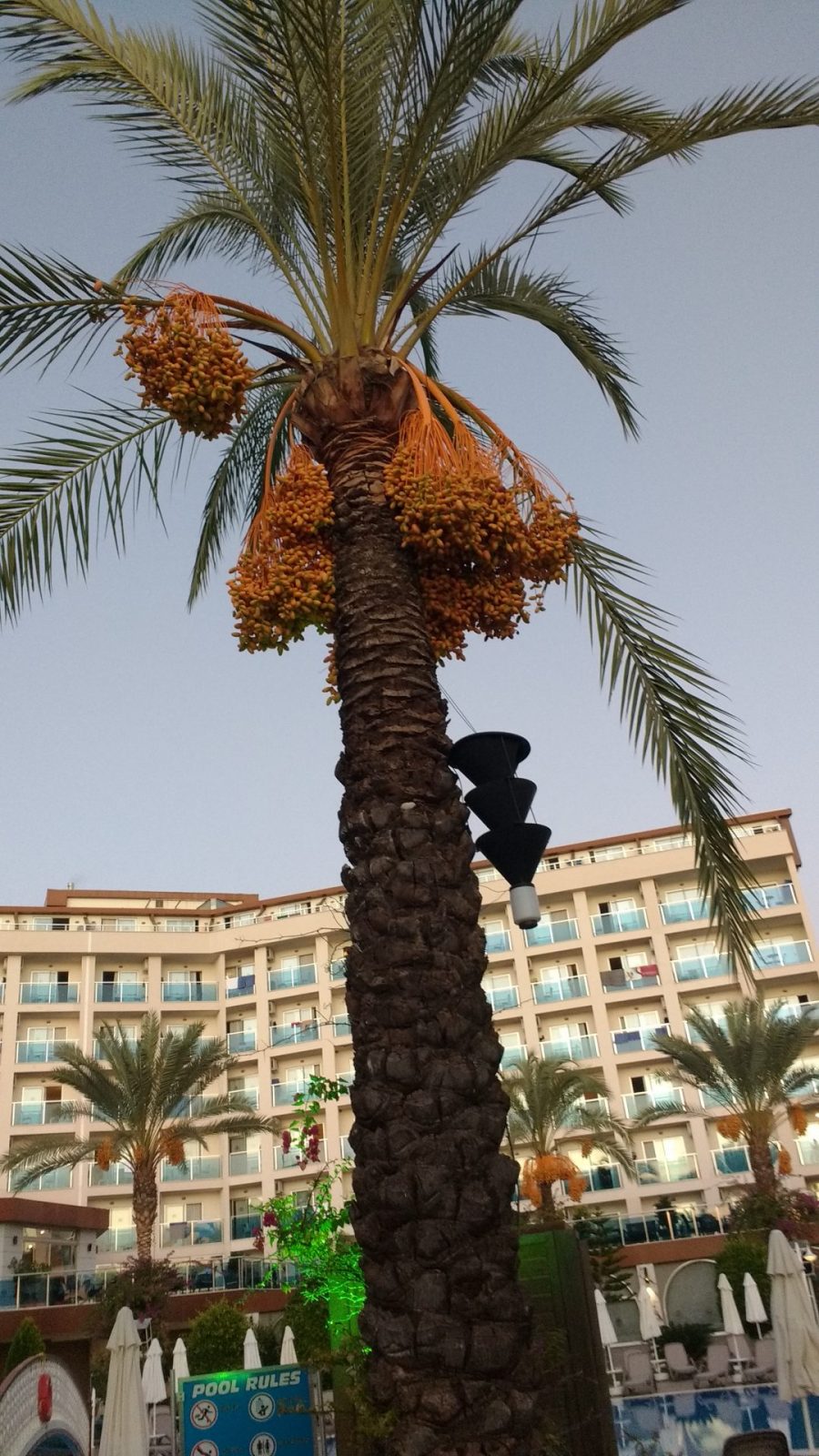 IMG_20211024_171344182