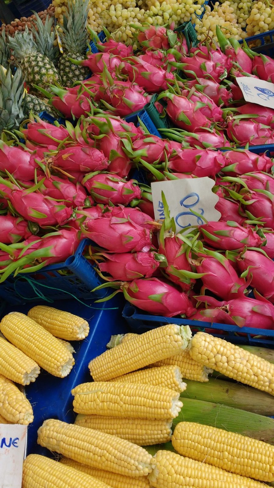 IMG_20211027_112926436