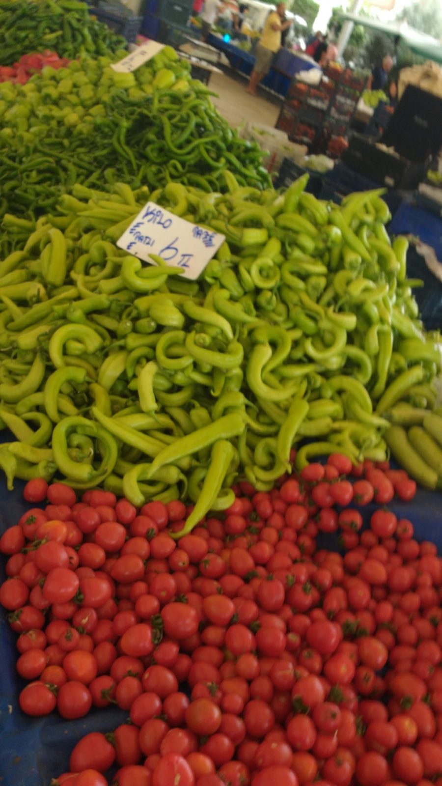 IMG_20211027_113025783