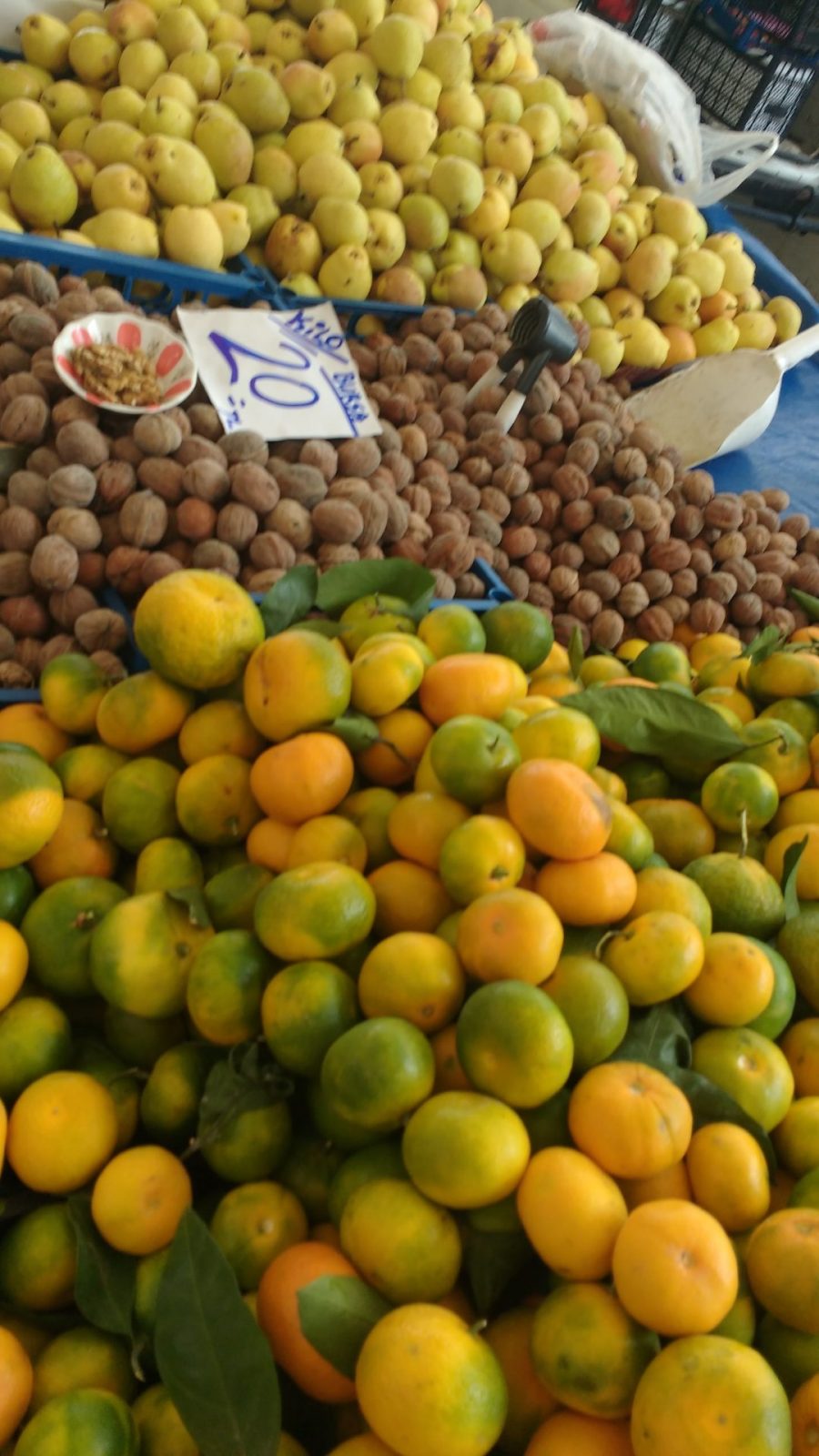 IMG_20211027_113313161