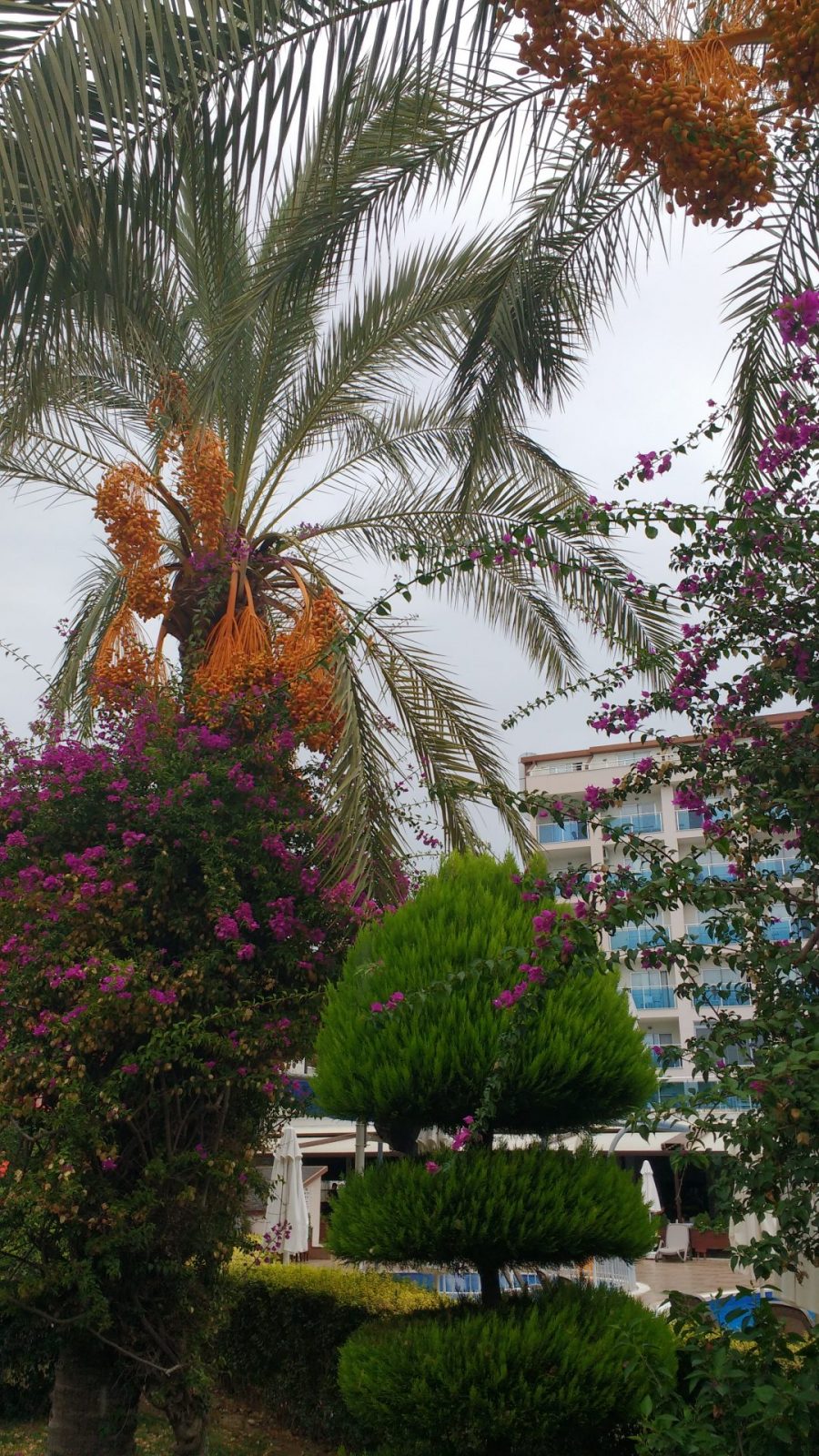 IMG_20211027_124743333