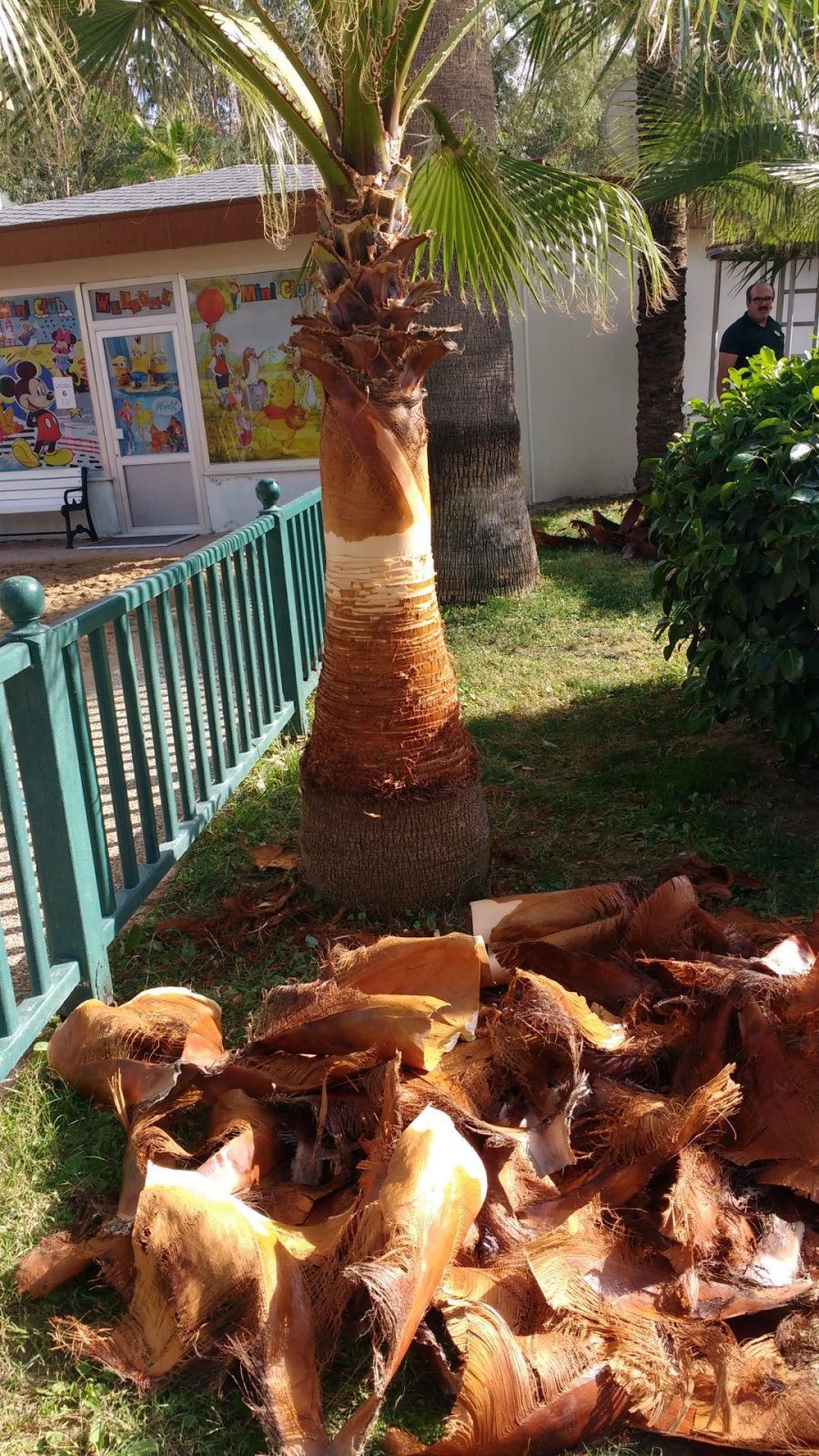 IMG_20211031_143835955