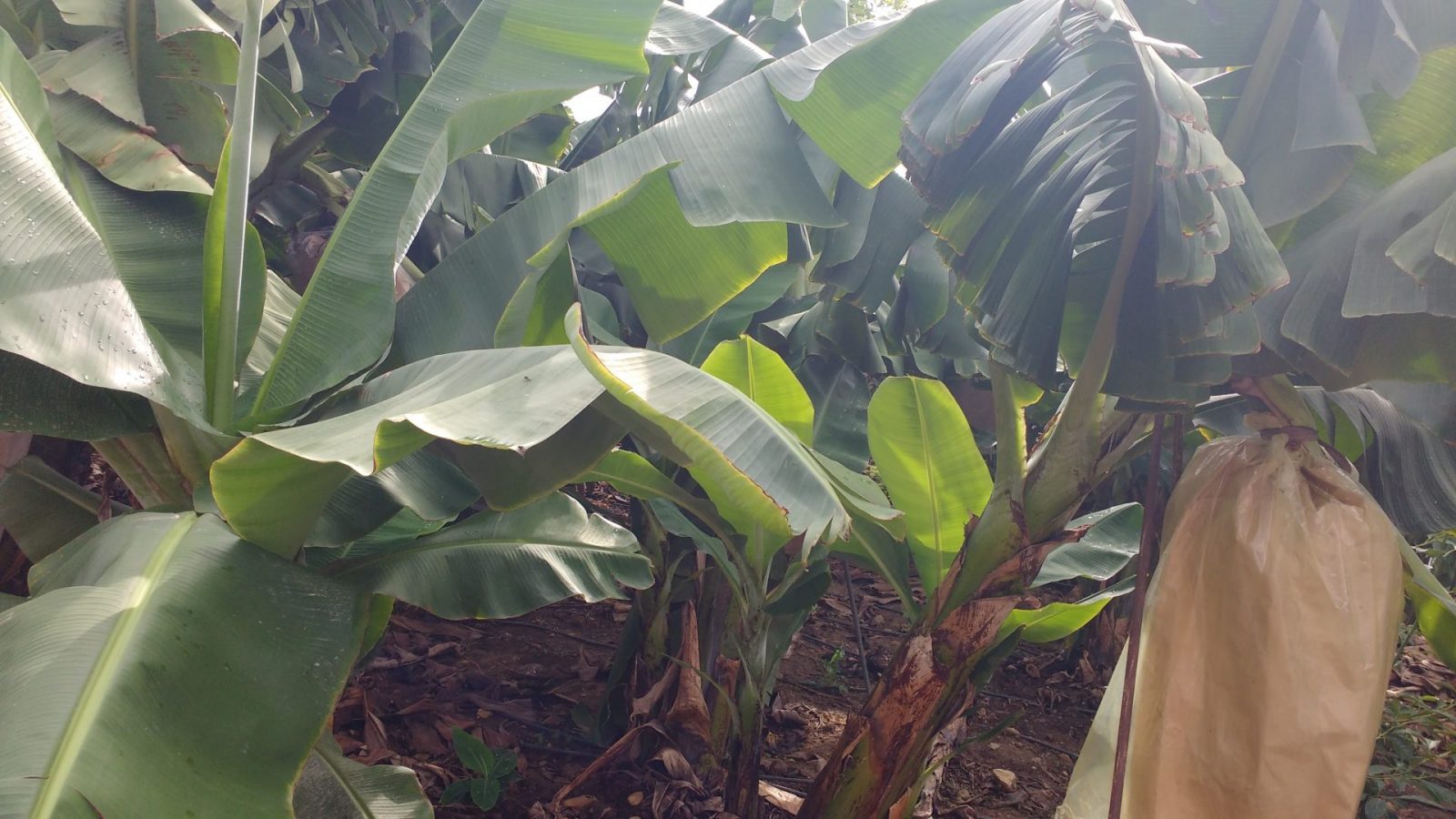 IMG_20211101_111644166